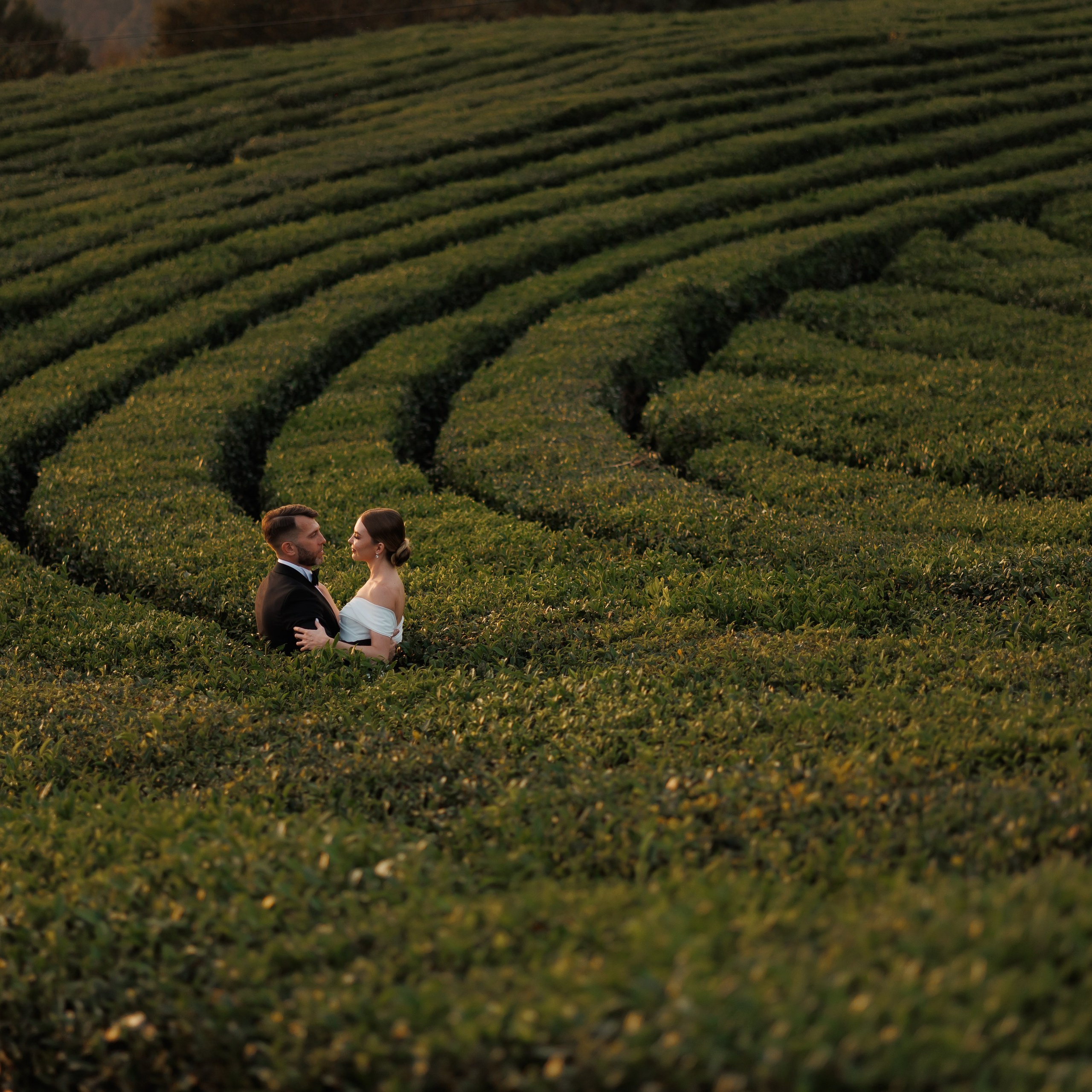 Отзывы о фотографе Денис Вялов. Свадебный и семейный фотограф в Сочи Денис Вялов