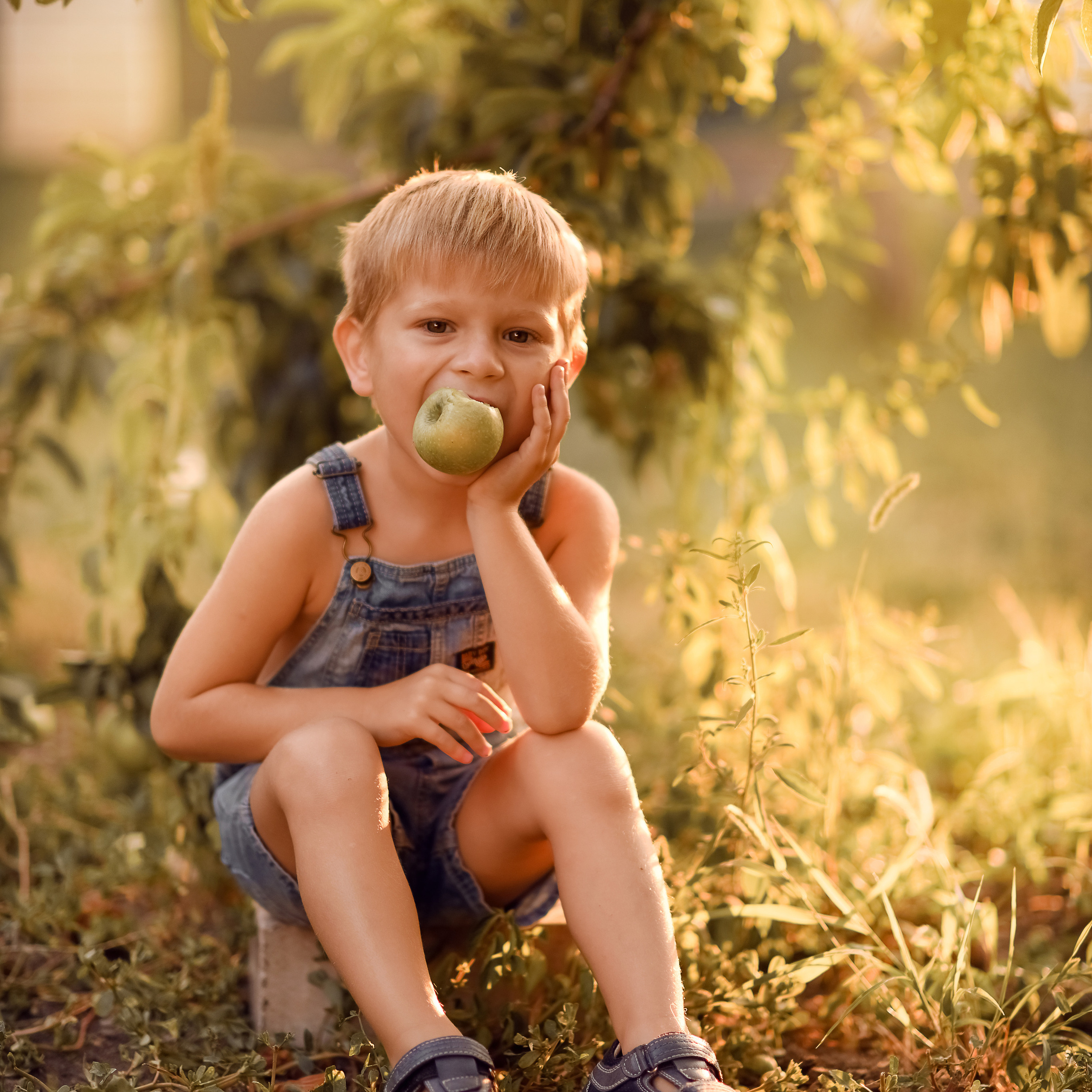 Яблочный сад