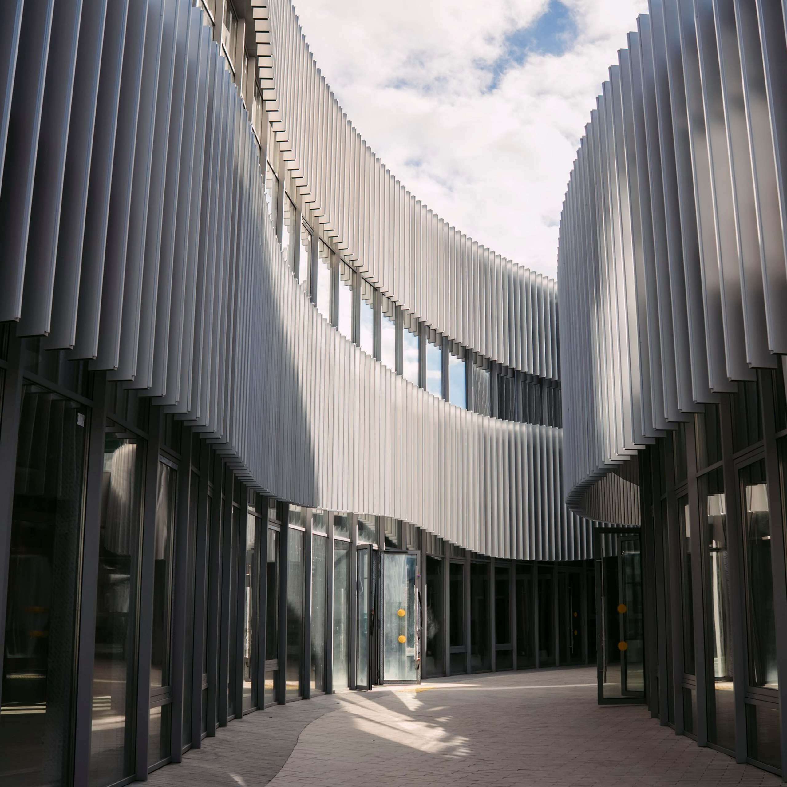 Кайт х&nbsp;Enter