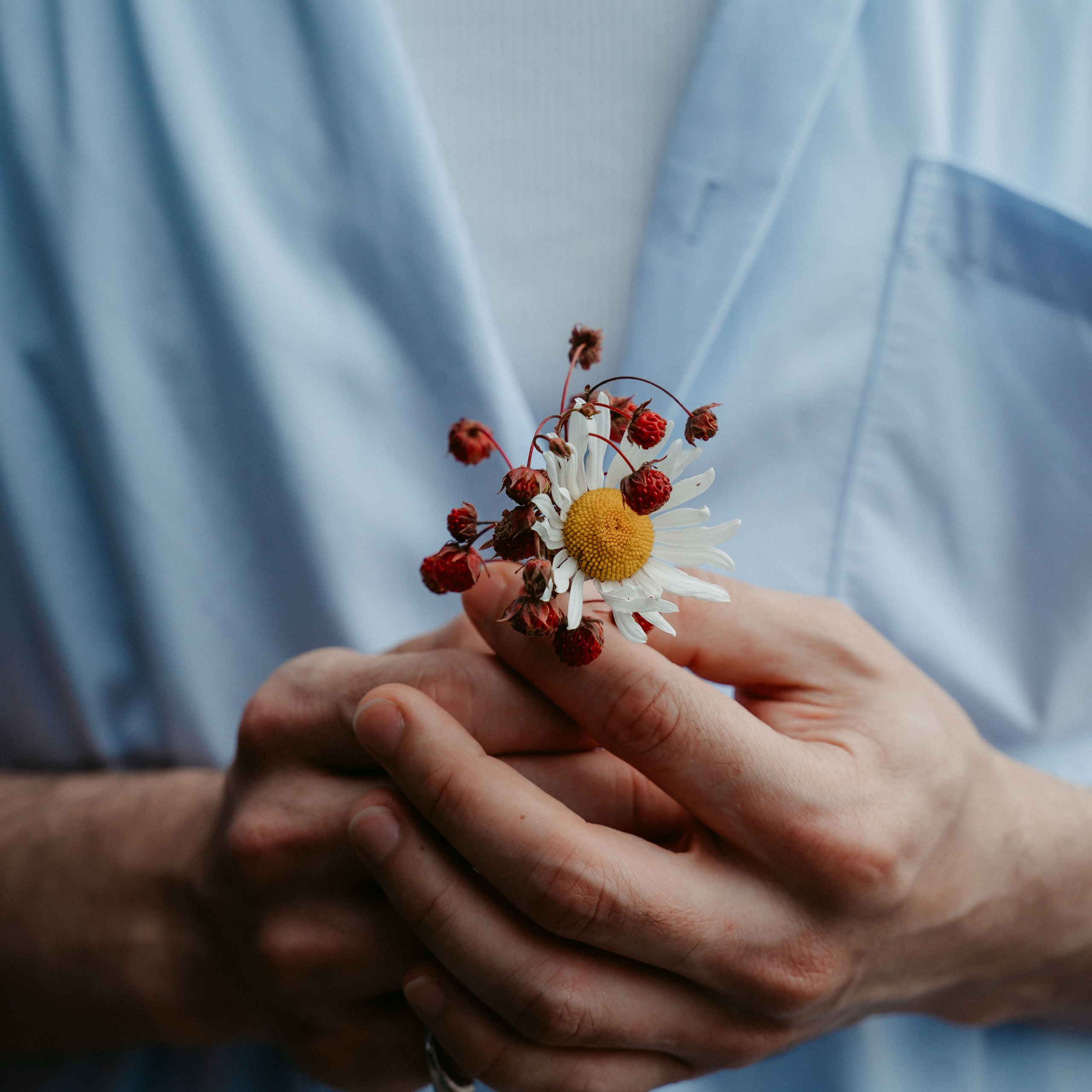 Гектария. Встреча лидеров мнений / 2023