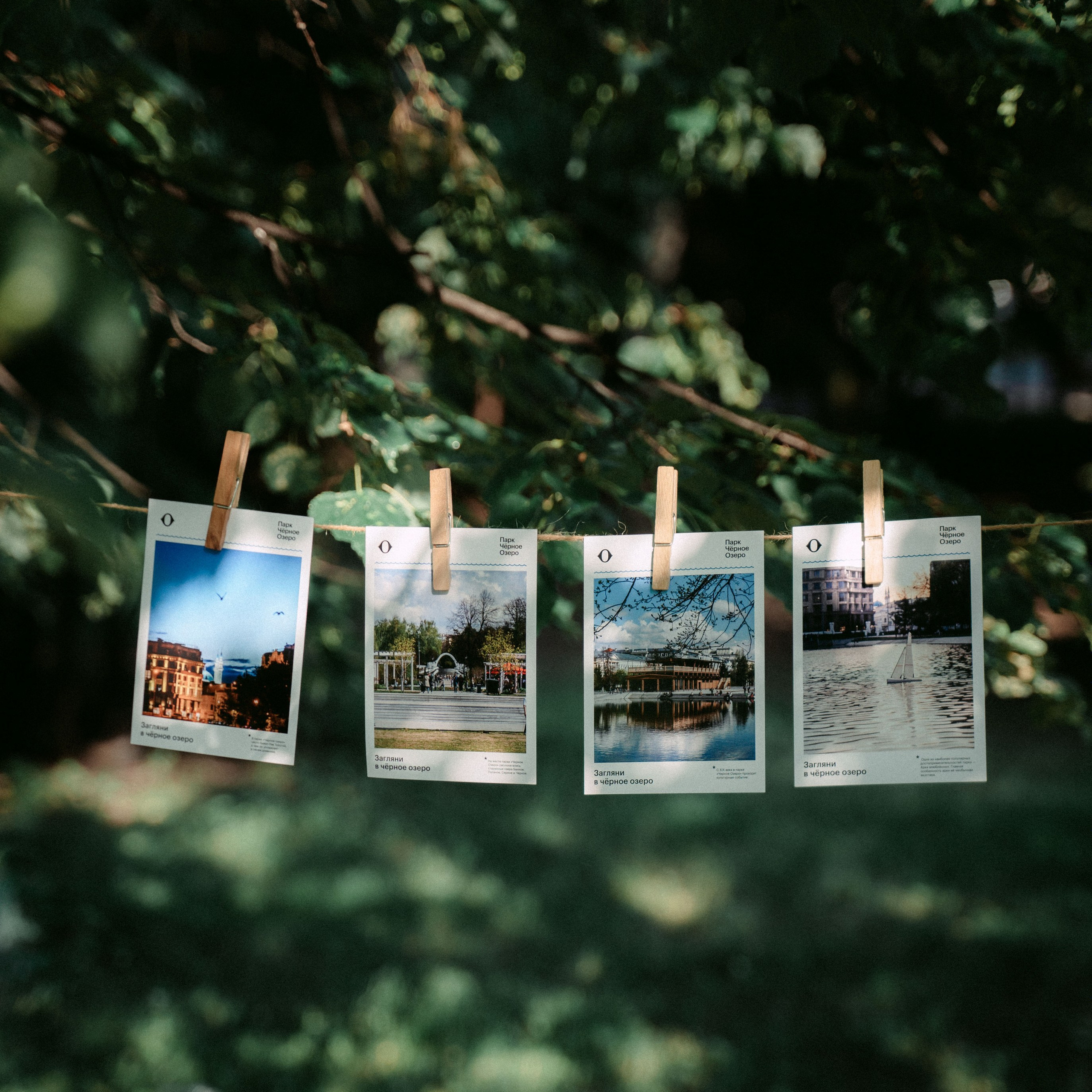 «Парки рядом» / мерч дирекции парков и скверов РТ