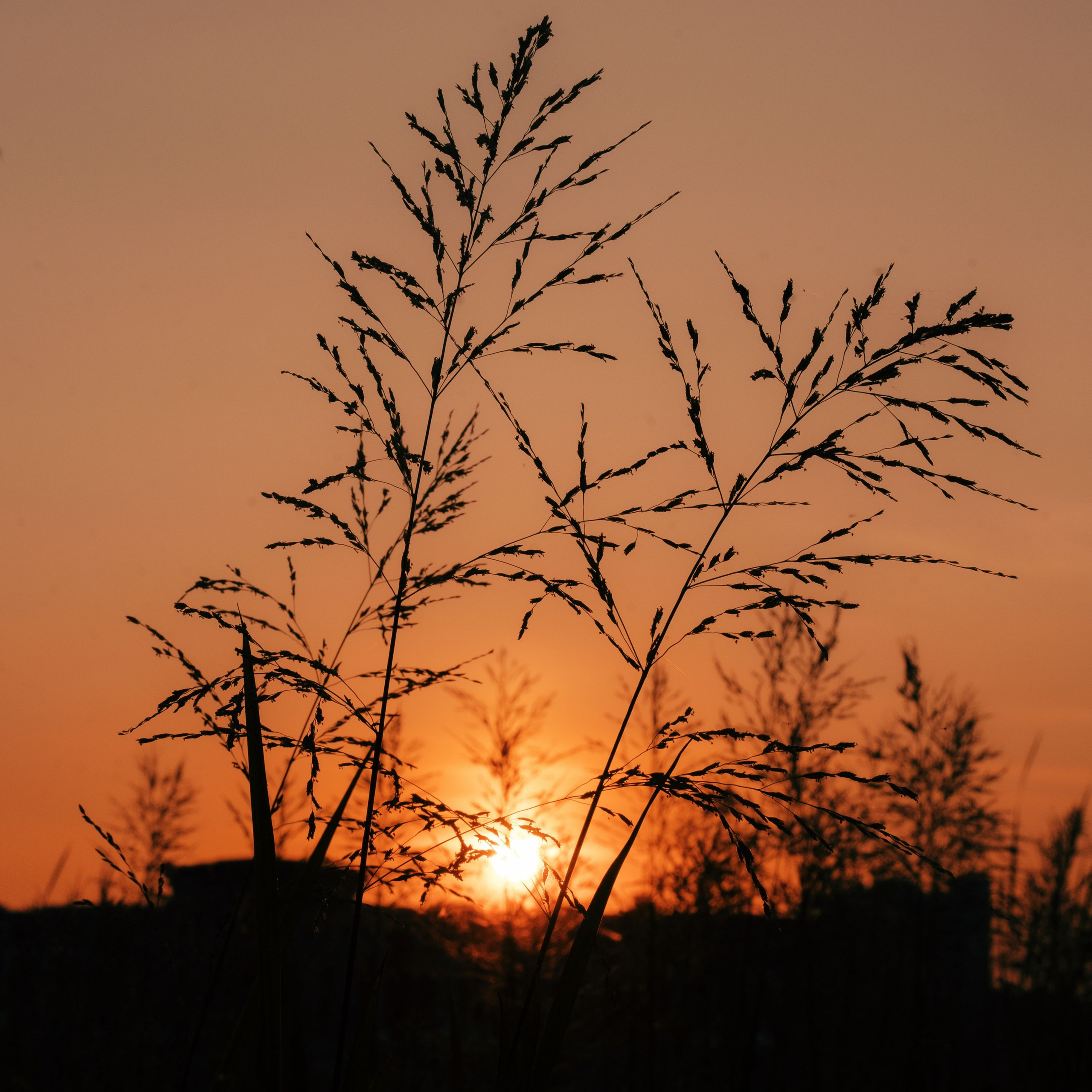 Вечер электронной музыки на Озере Кабан / 2023