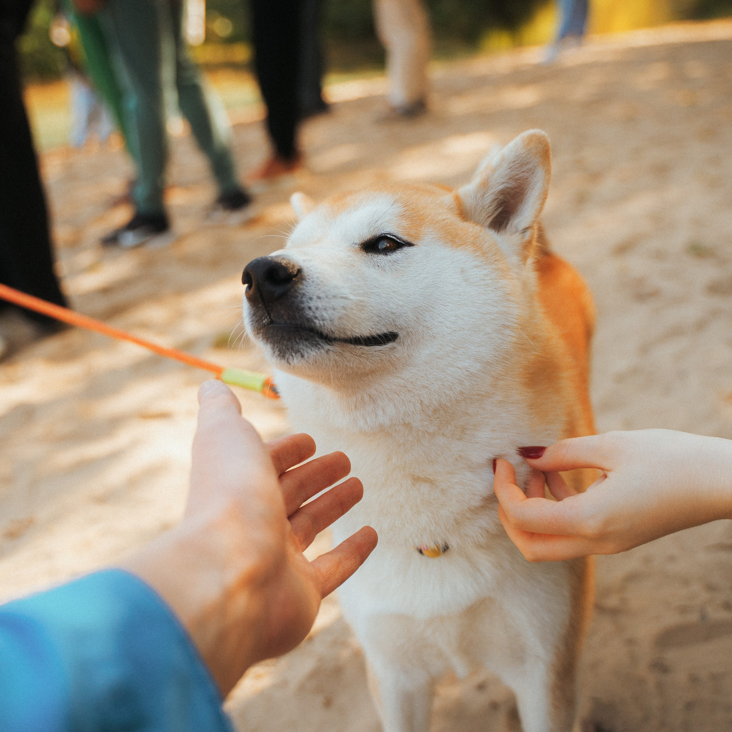 Good Friends Trip / команда локальных путешествий