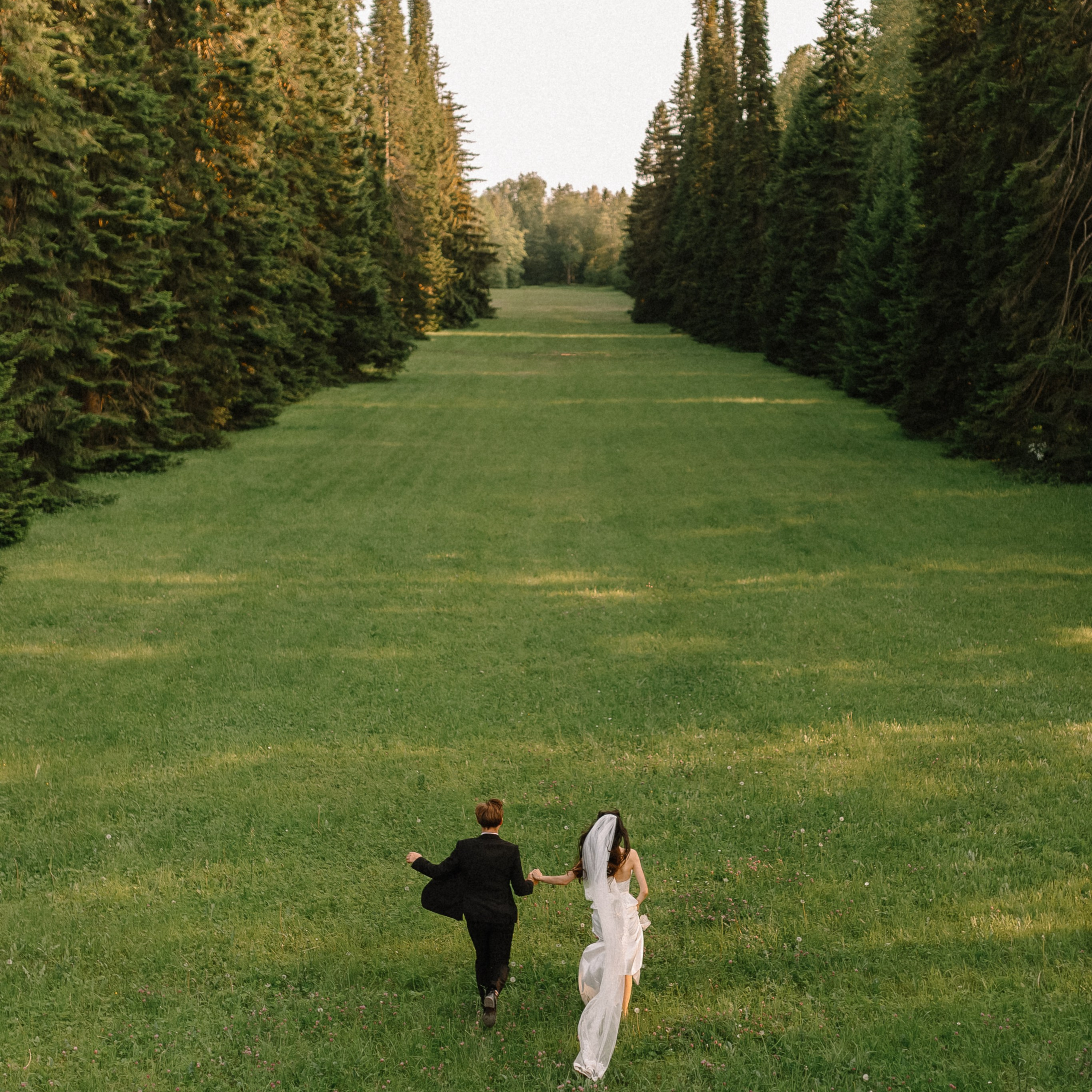 Летний Ораниенбаум