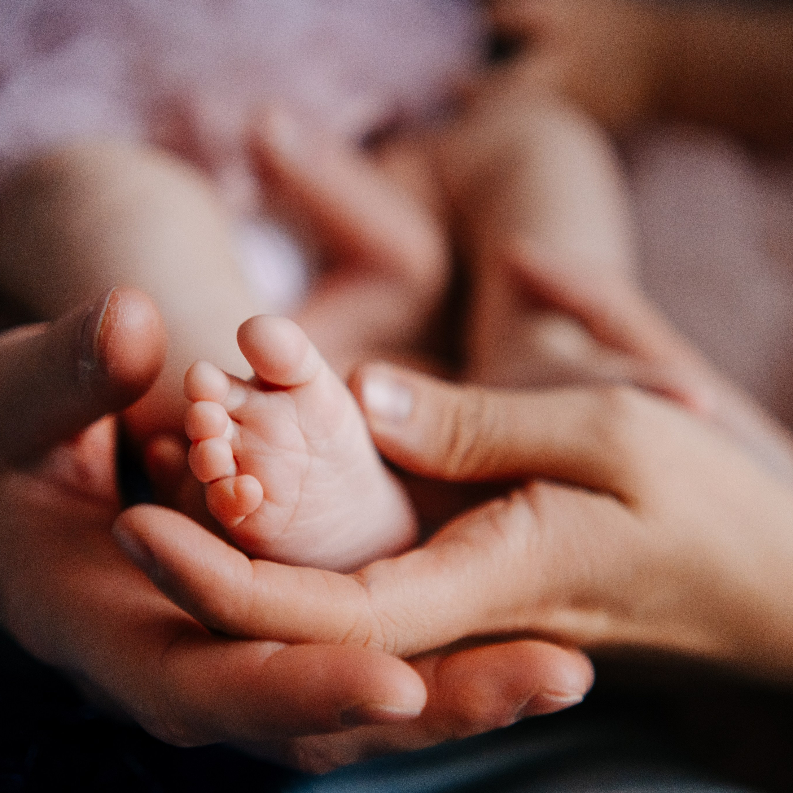 Отзывы. Семейный и свадебный фотограф в Санкт-Петербурге и Москве