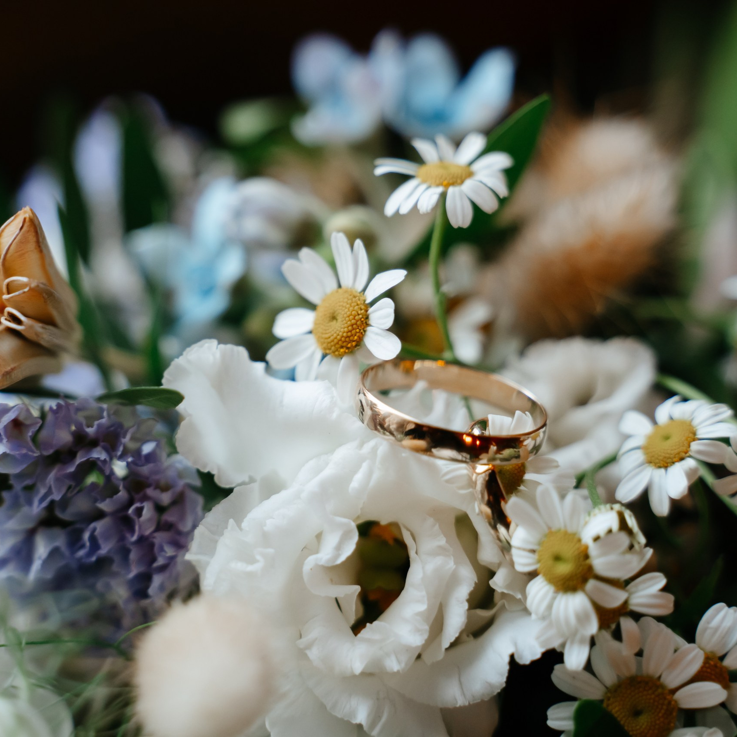 Отзывы. Семейный и свадебный фотограф в Санкт-Петербурге и Москве