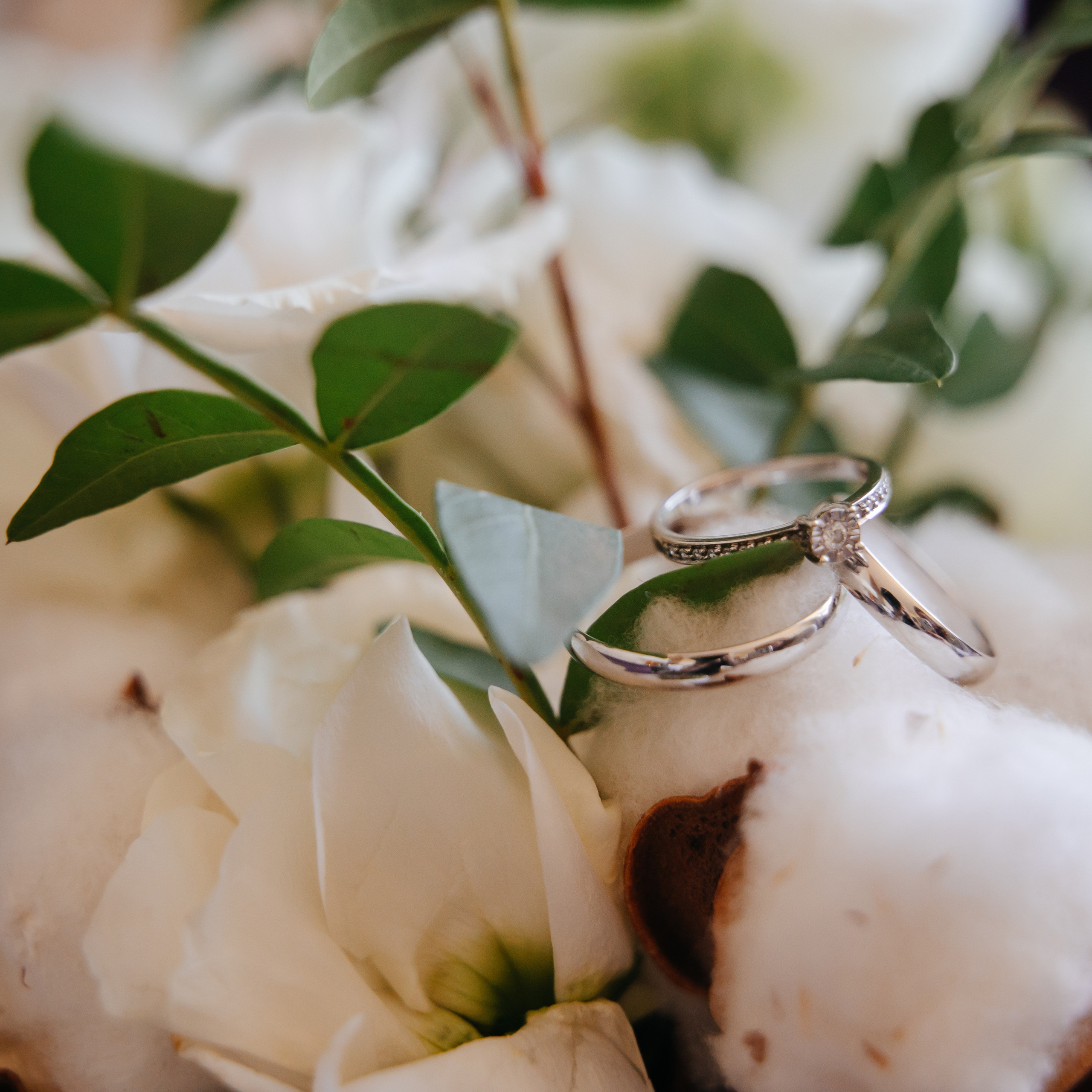 Отзывы. Семейный и свадебный фотограф в Санкт-Петербурге и Москве