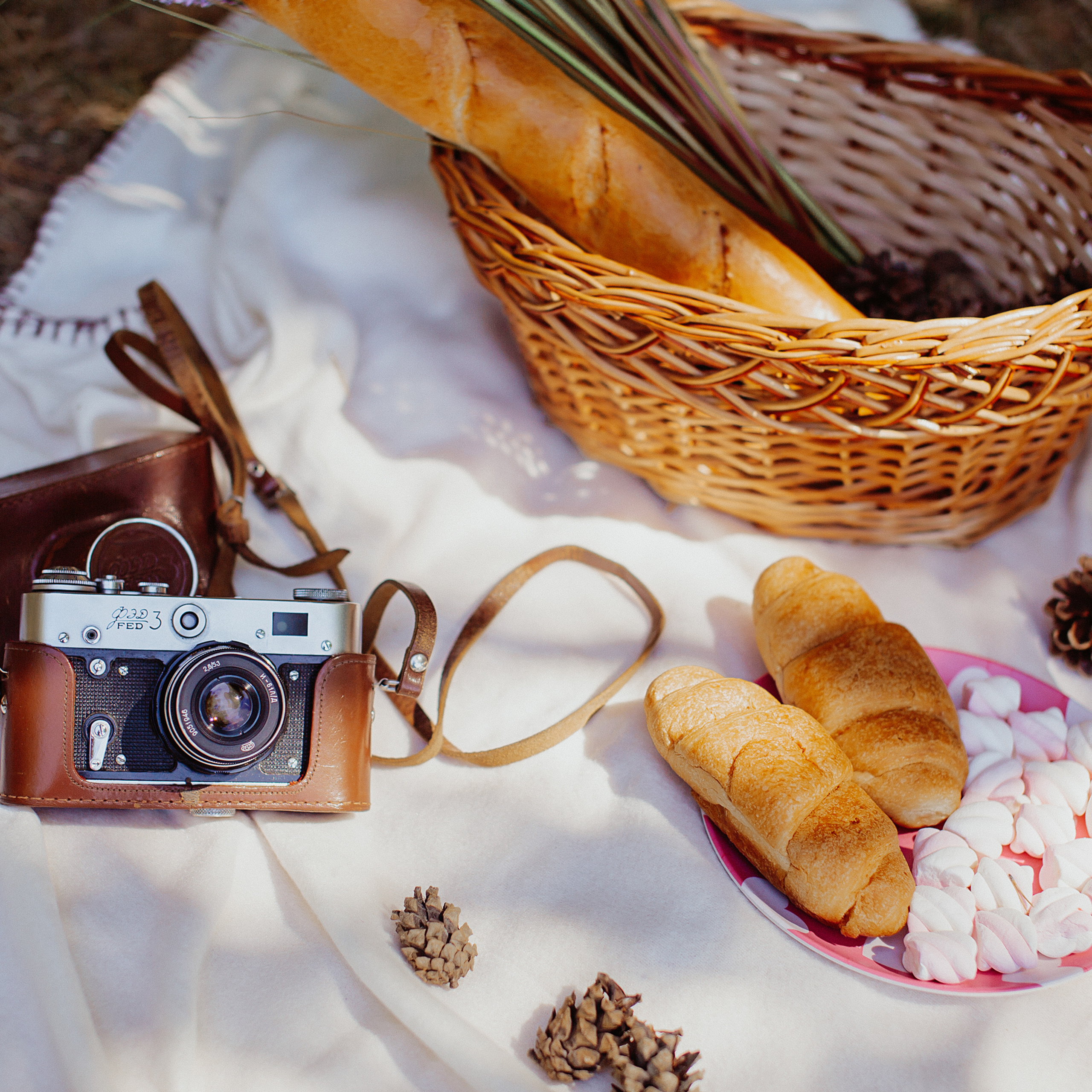 «Рождественский парк» Пикник