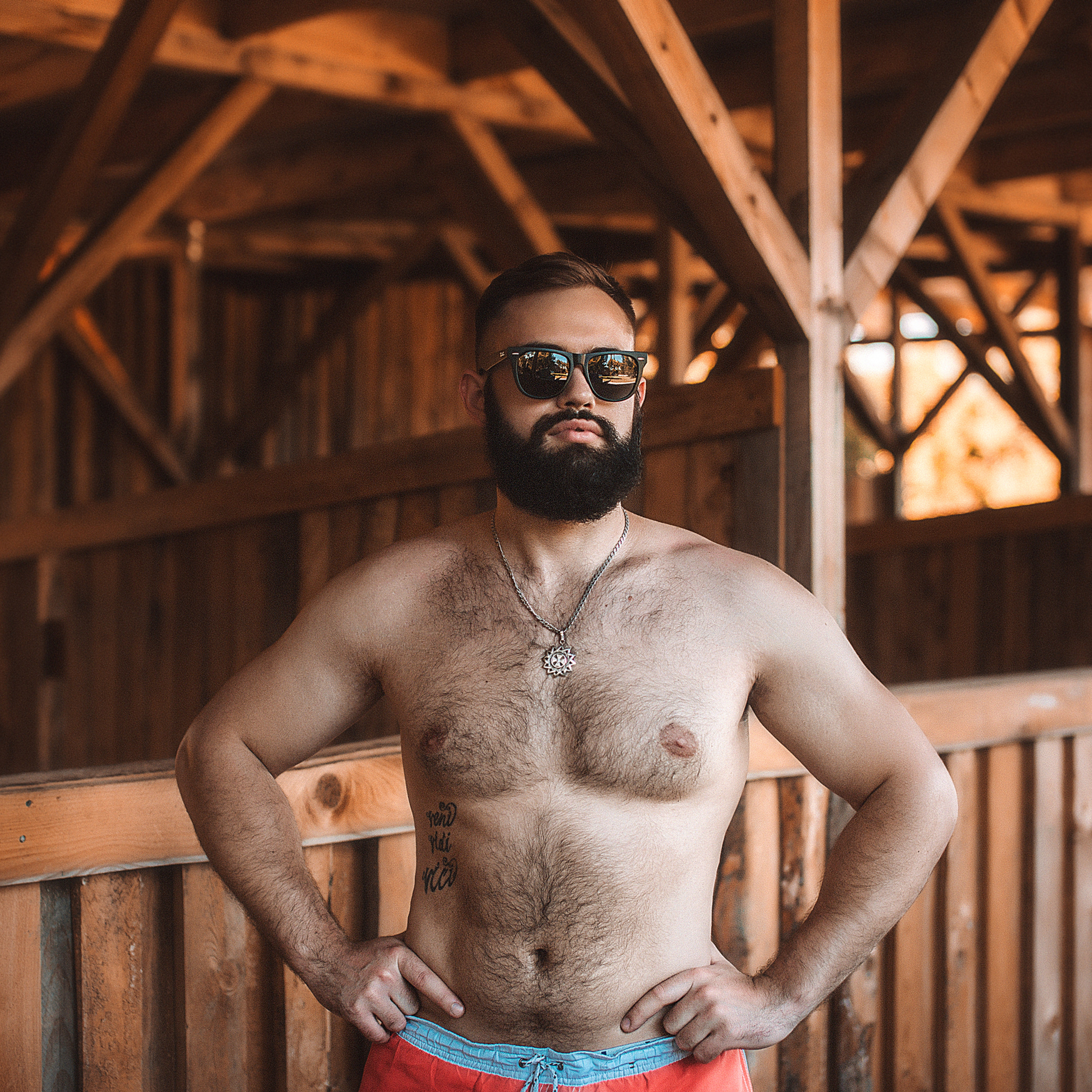 дача «Мечта»