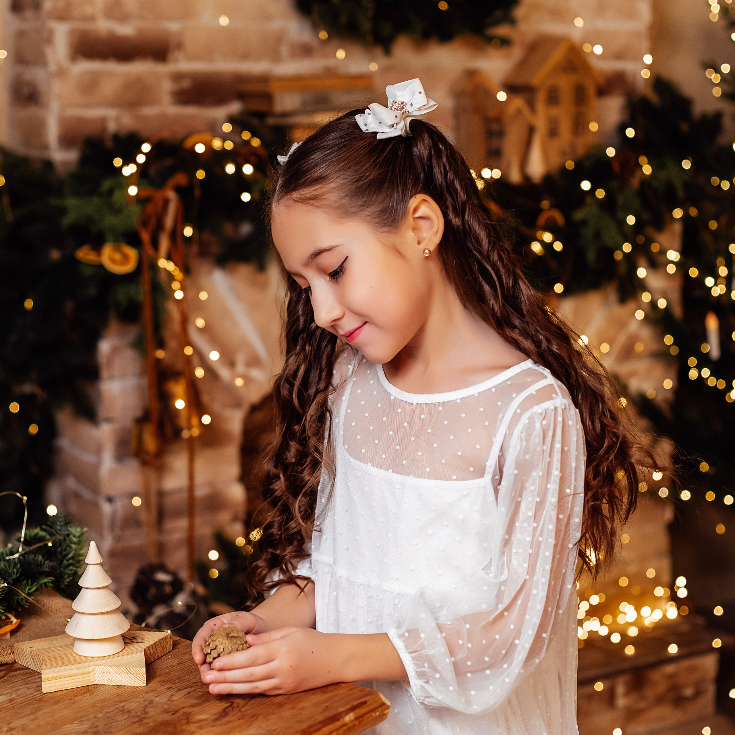 Новый 2025 год