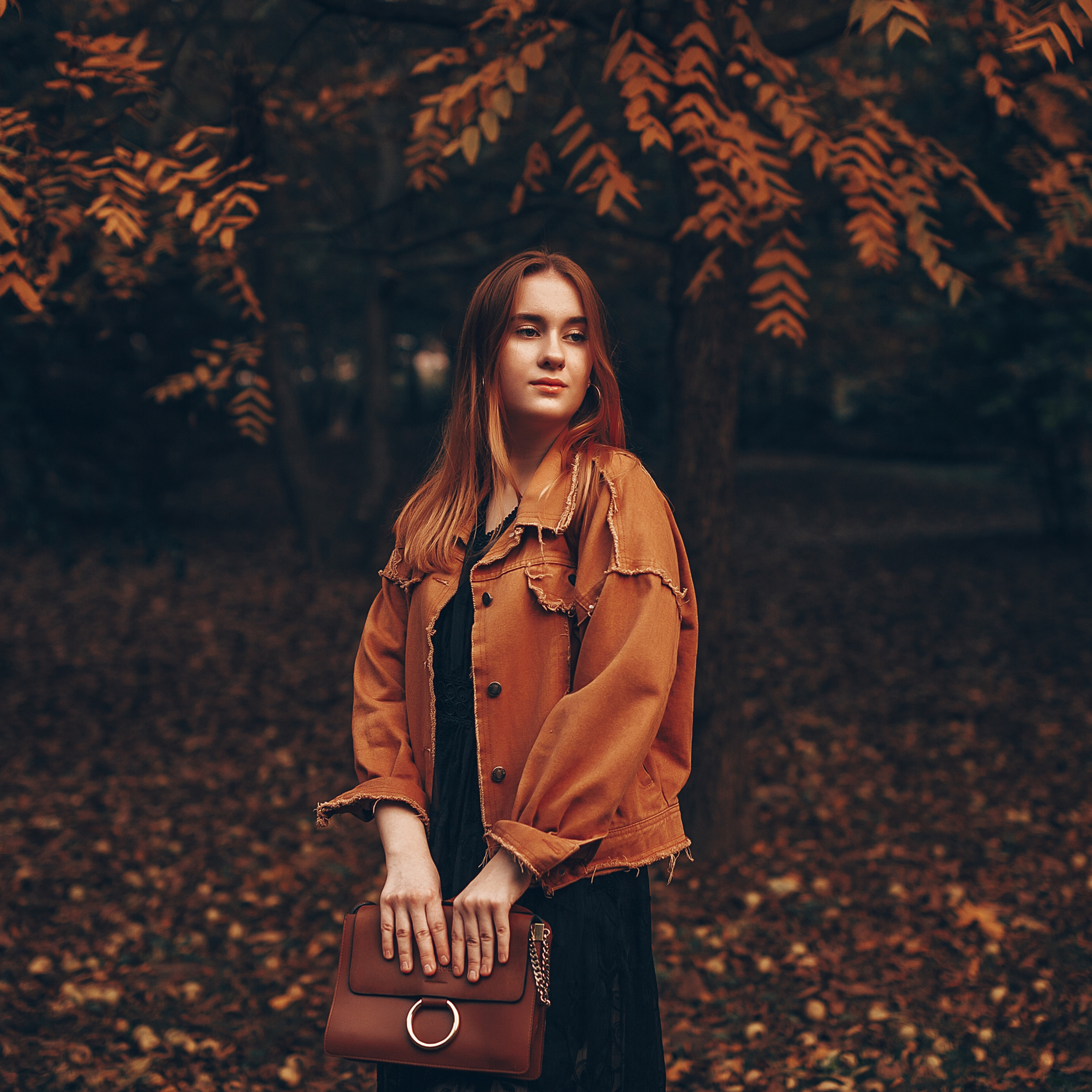 «Рождественский парк»