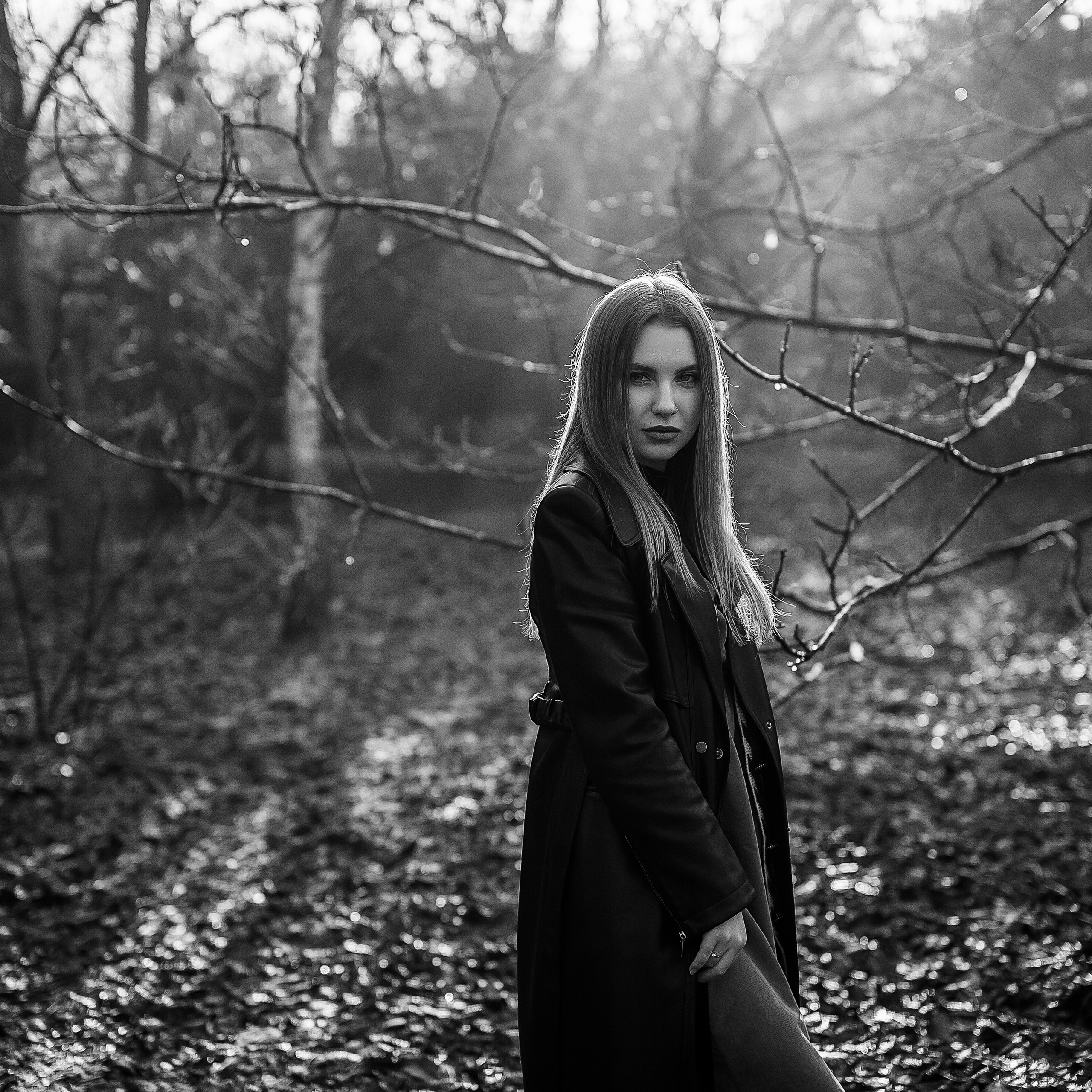 Рождественский парк