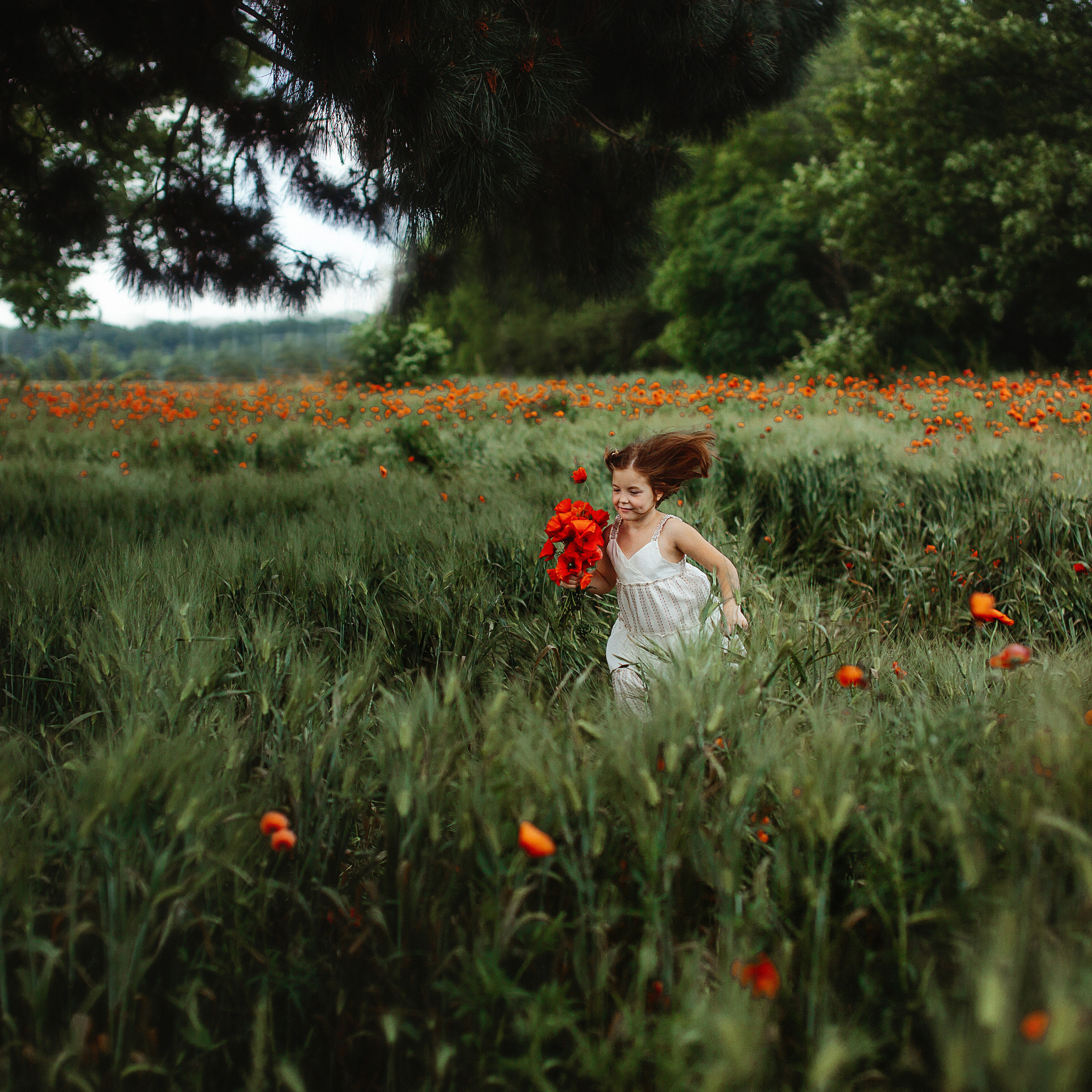 Фотосессия в маковом поле
