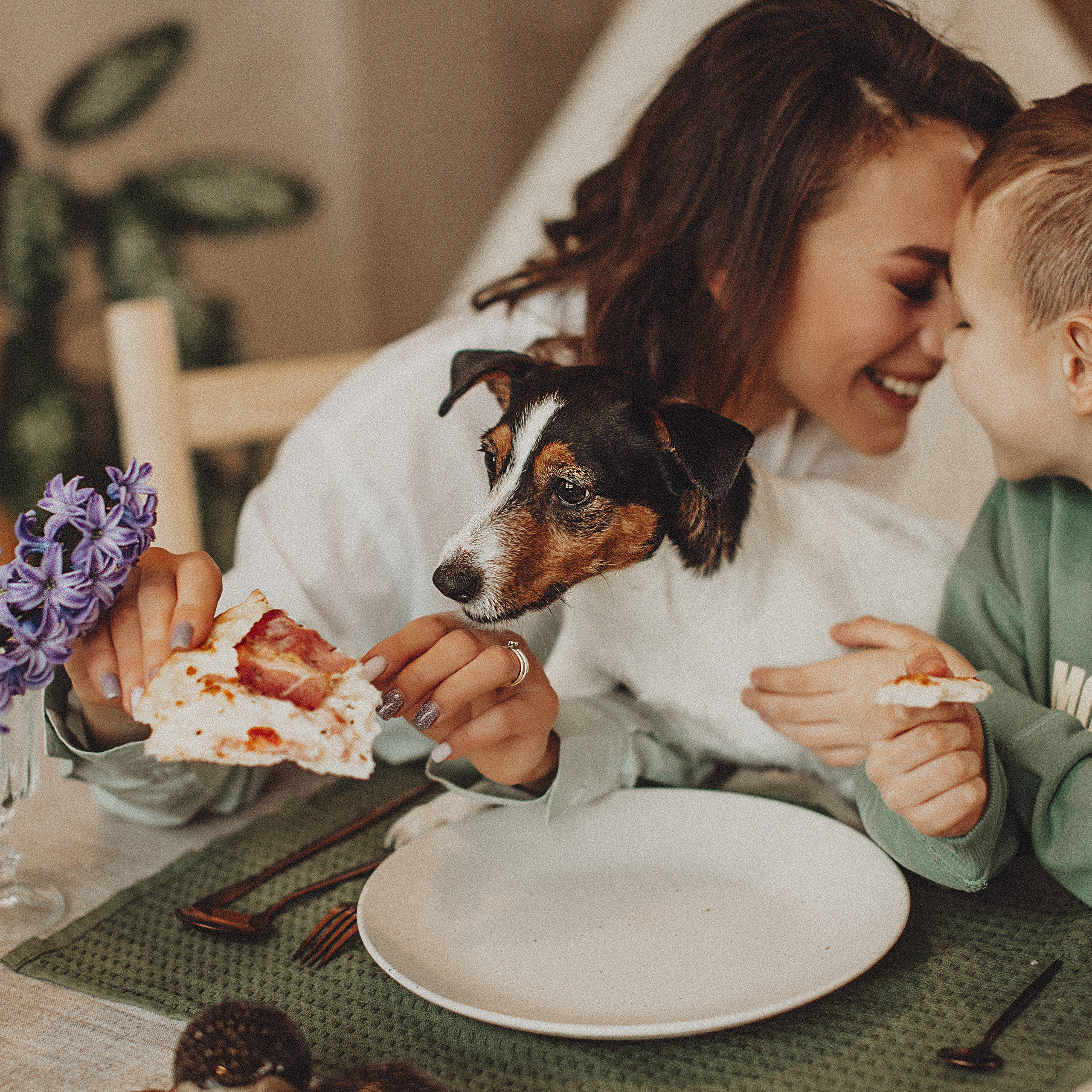 Юлия, Стас и их маленький хвостик
