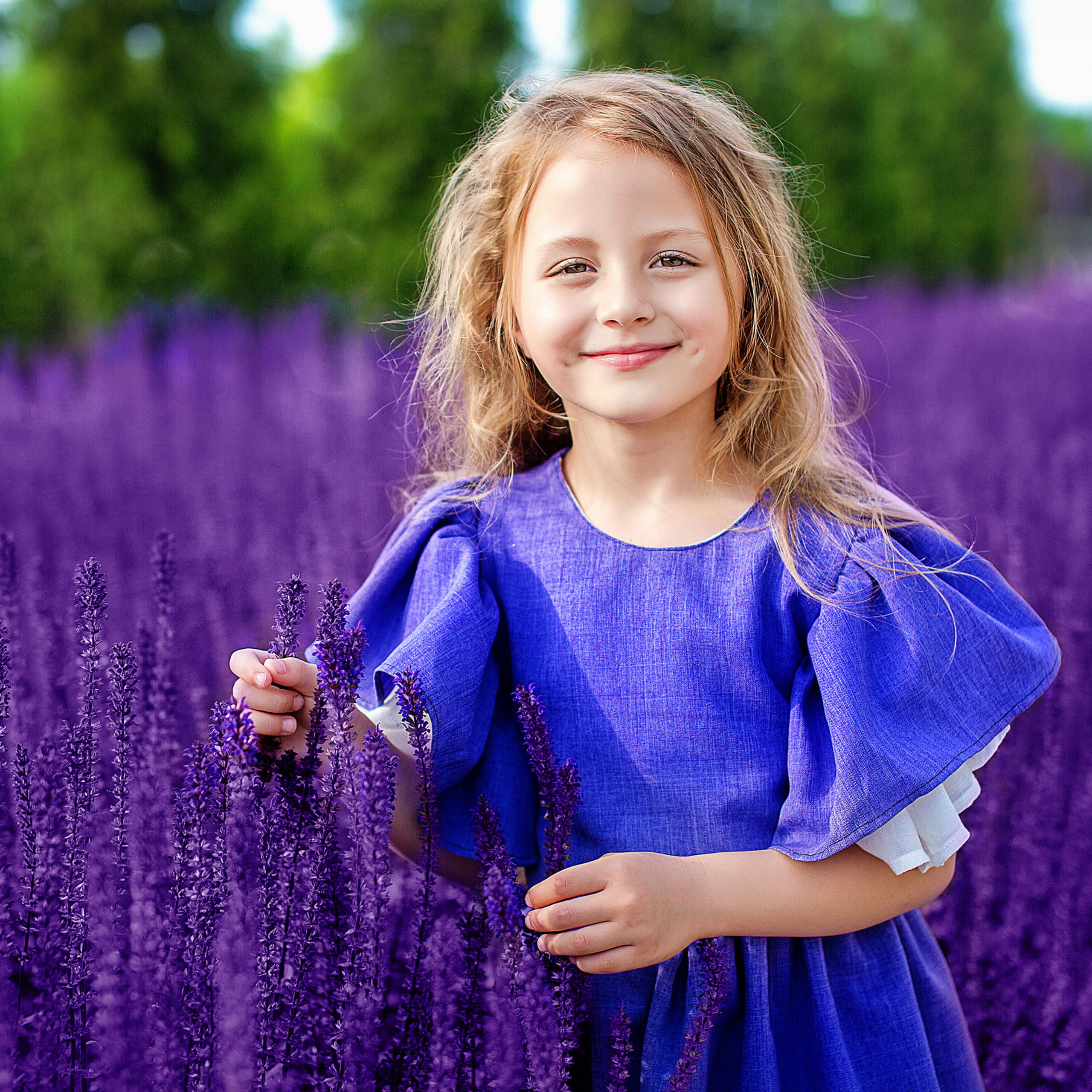 Сиреневое настроение