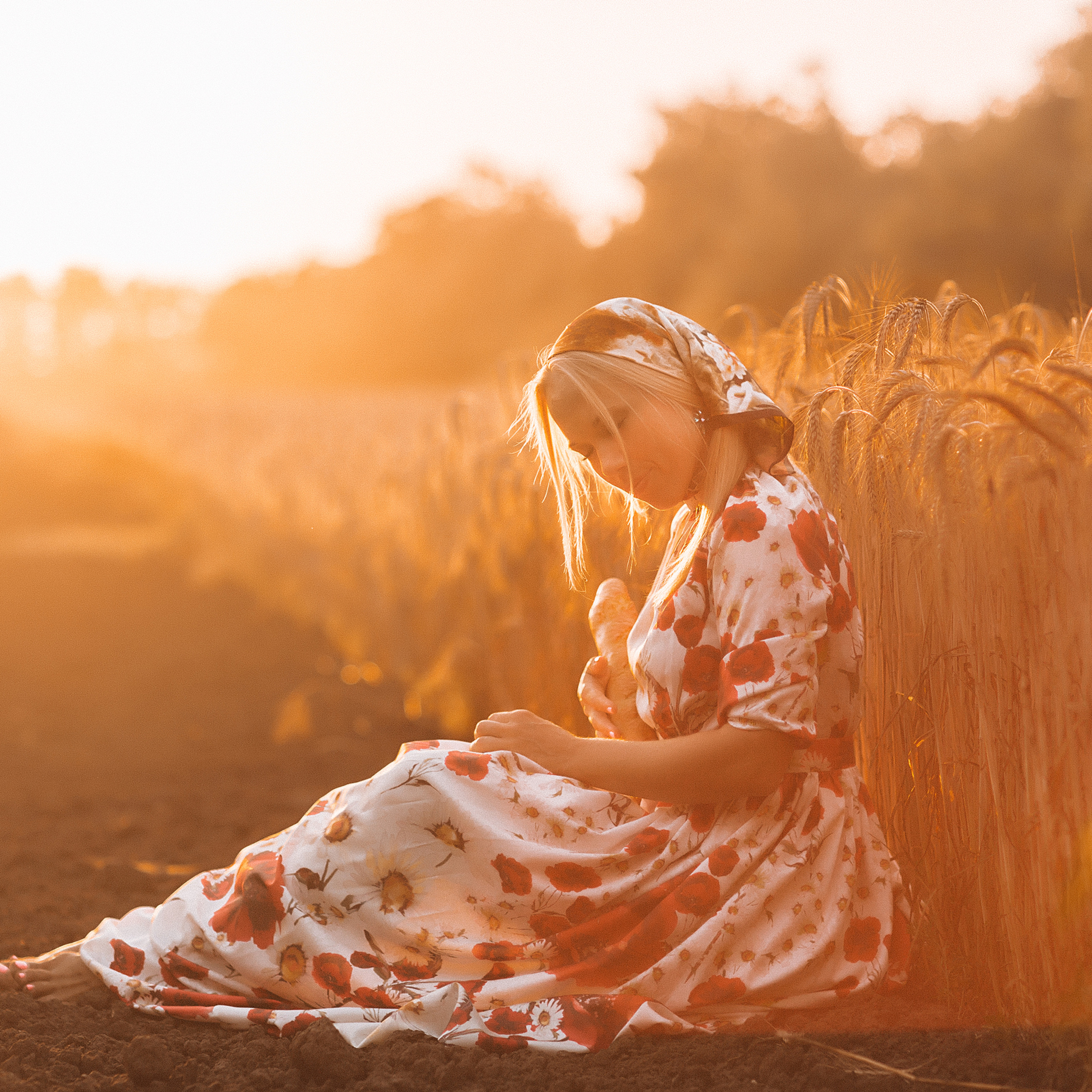 Пшеничное поле