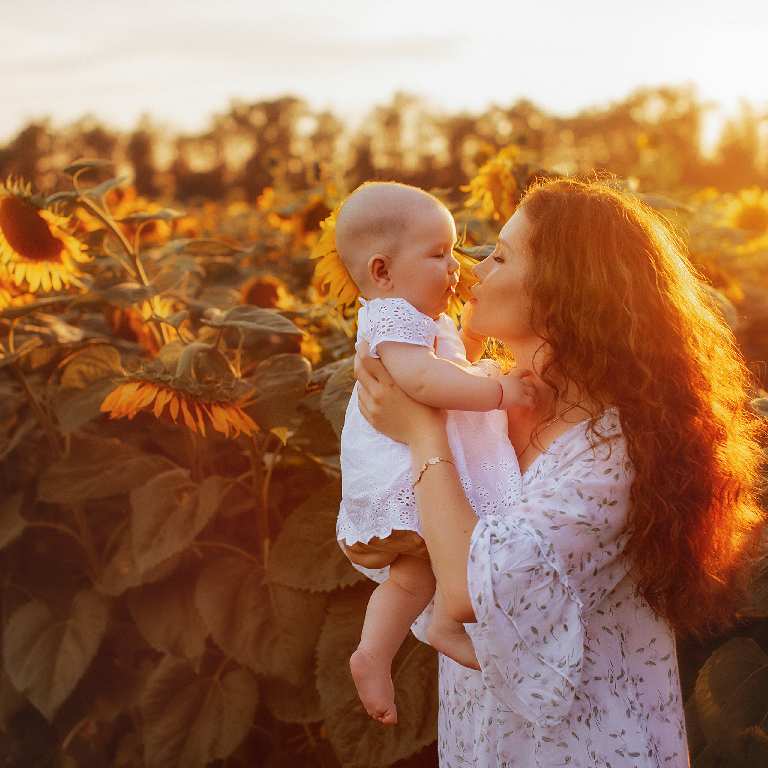 Семейная в подсолнухах