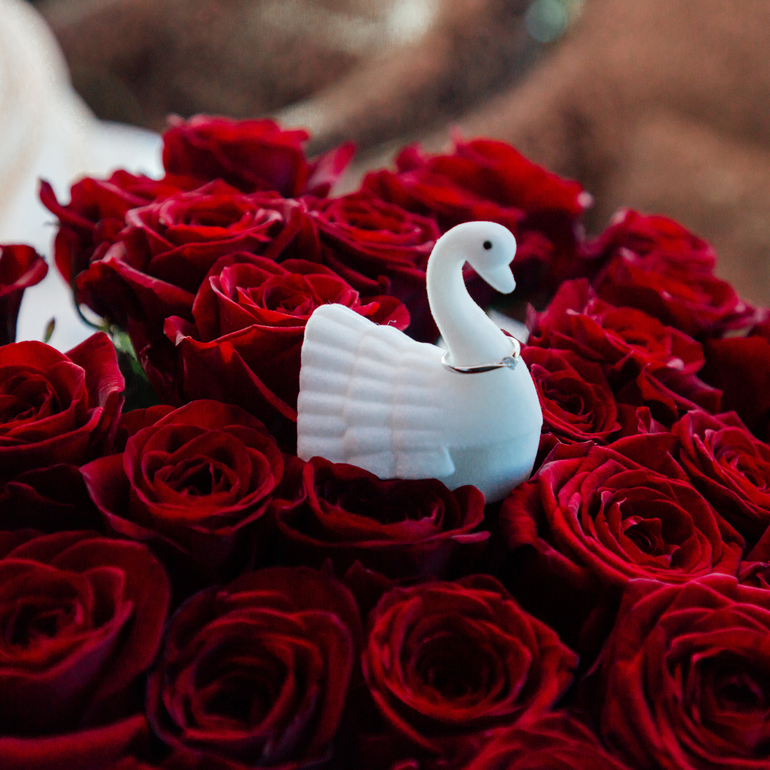 ОТЗЫВЫ. Свадебный и семейный фотограф/видеограф в Краснодаре Наталья Осинская