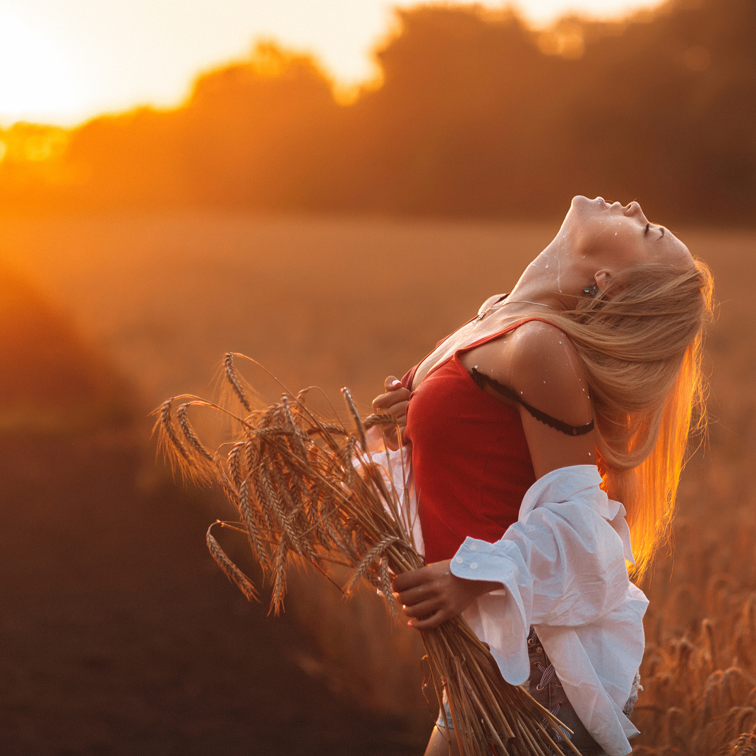 Волшебный закат