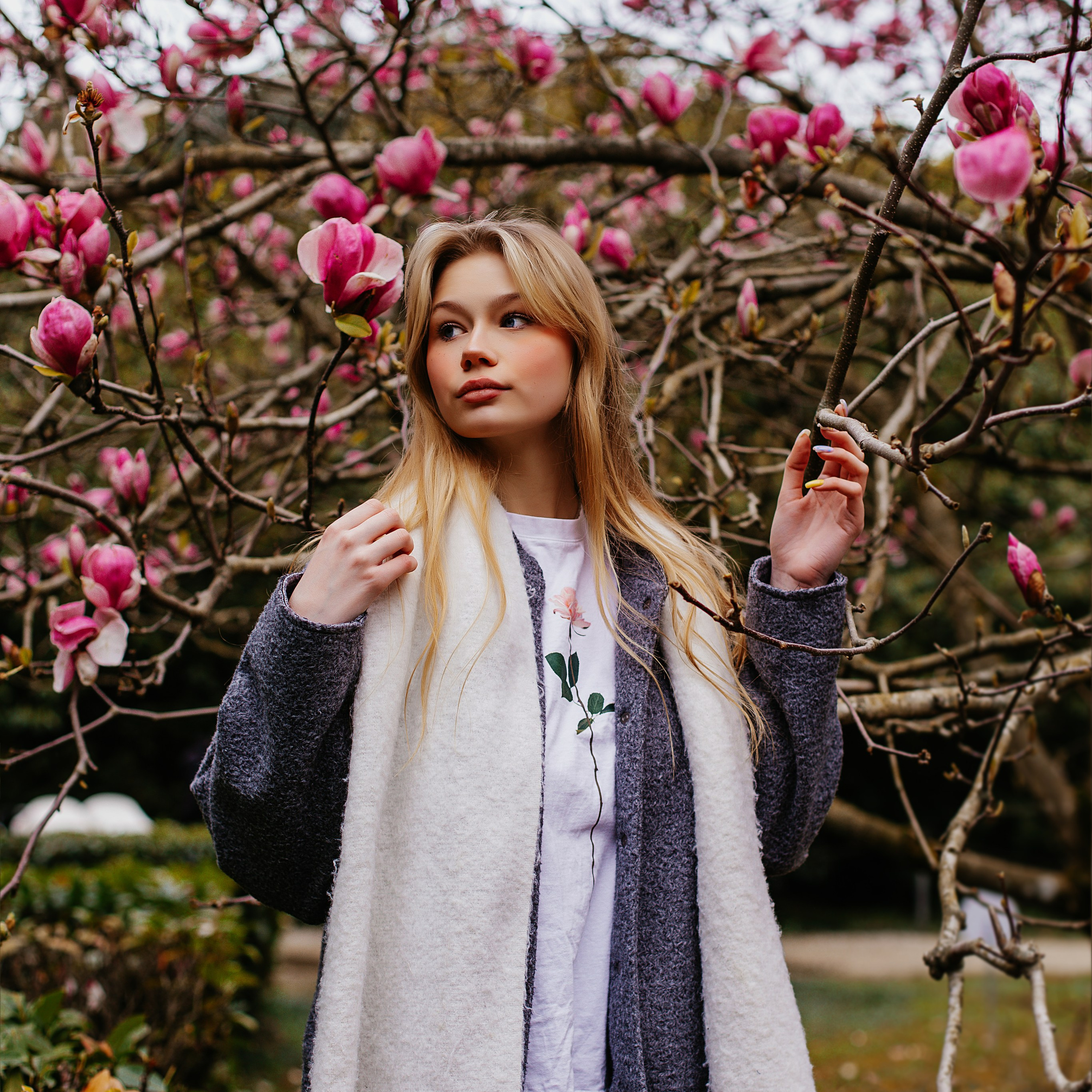 Магнолия/Сочи