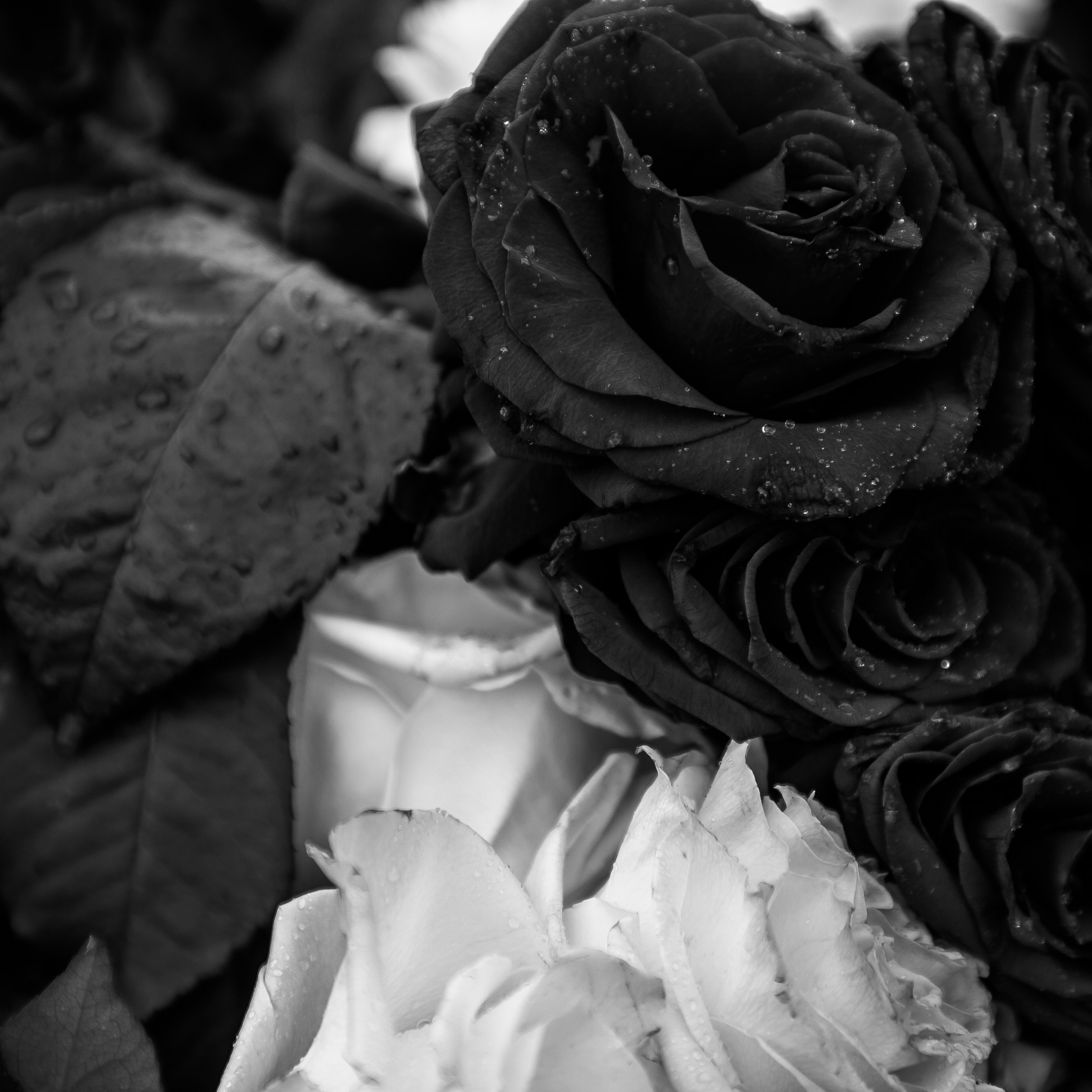 Прощание с Натальей