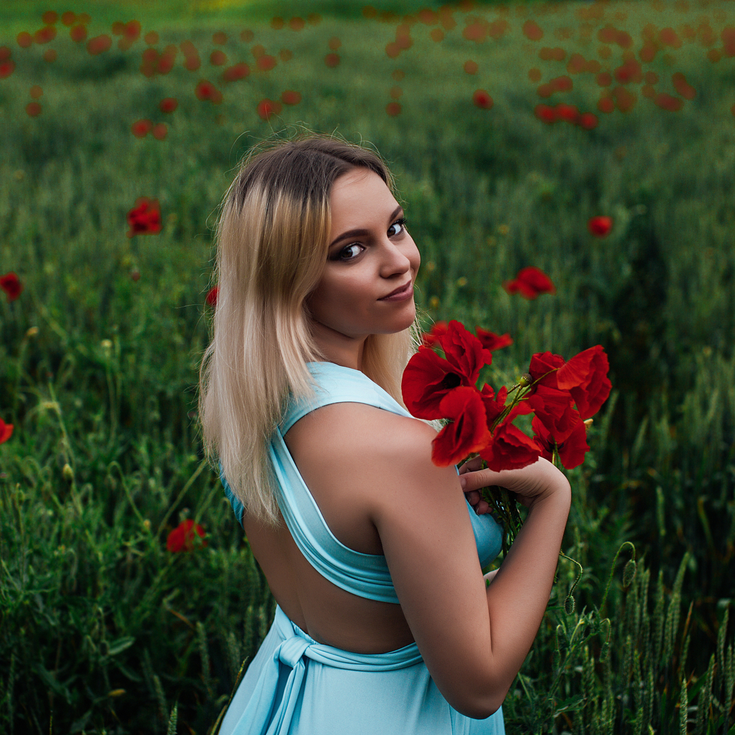 Прогулка по маковым полям