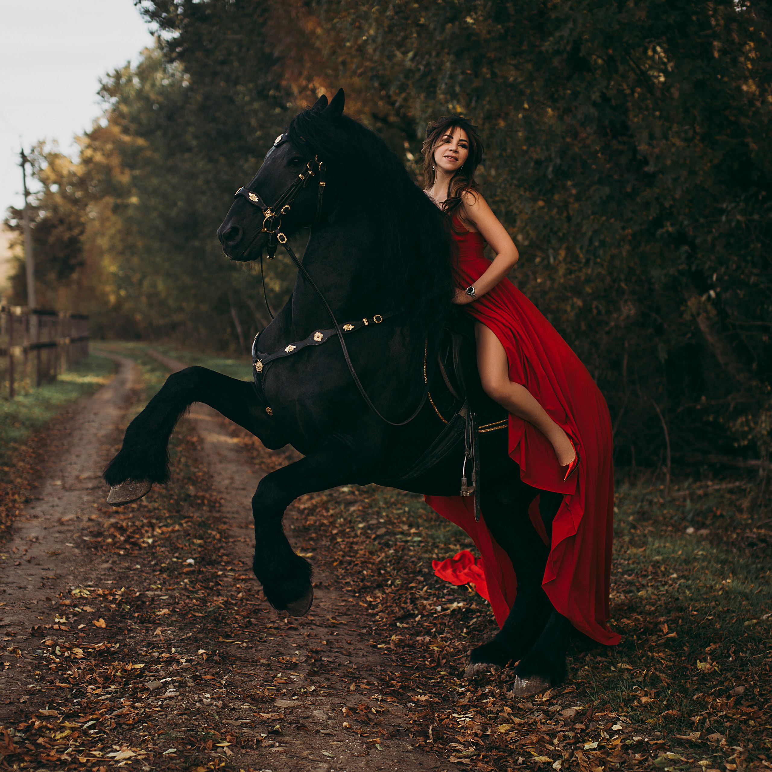 Фриз Арнольд и Роксана