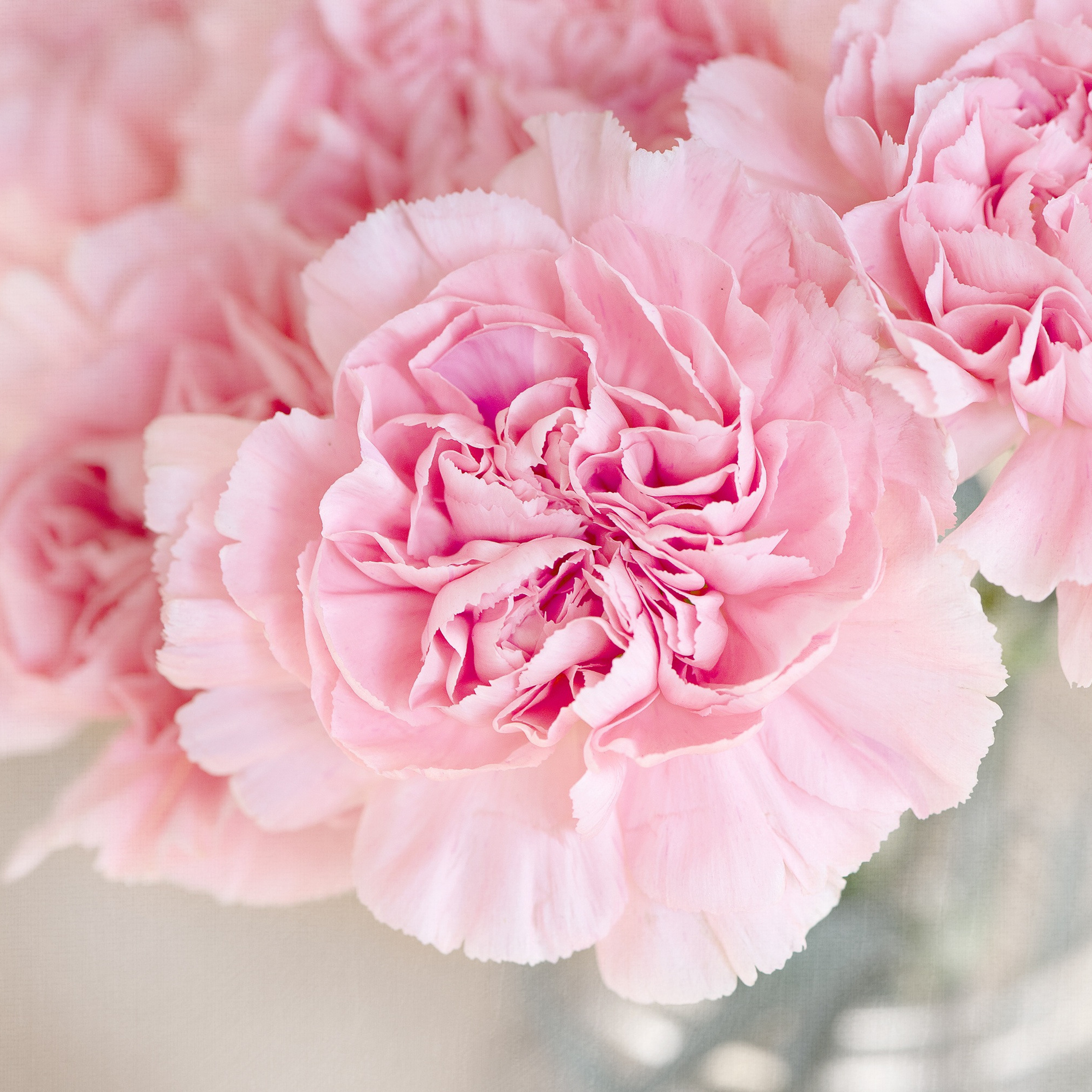 ОТЗЫВЫ. Свадебный и семейный фотограф/видеограф в Краснодаре Наталья Осинская