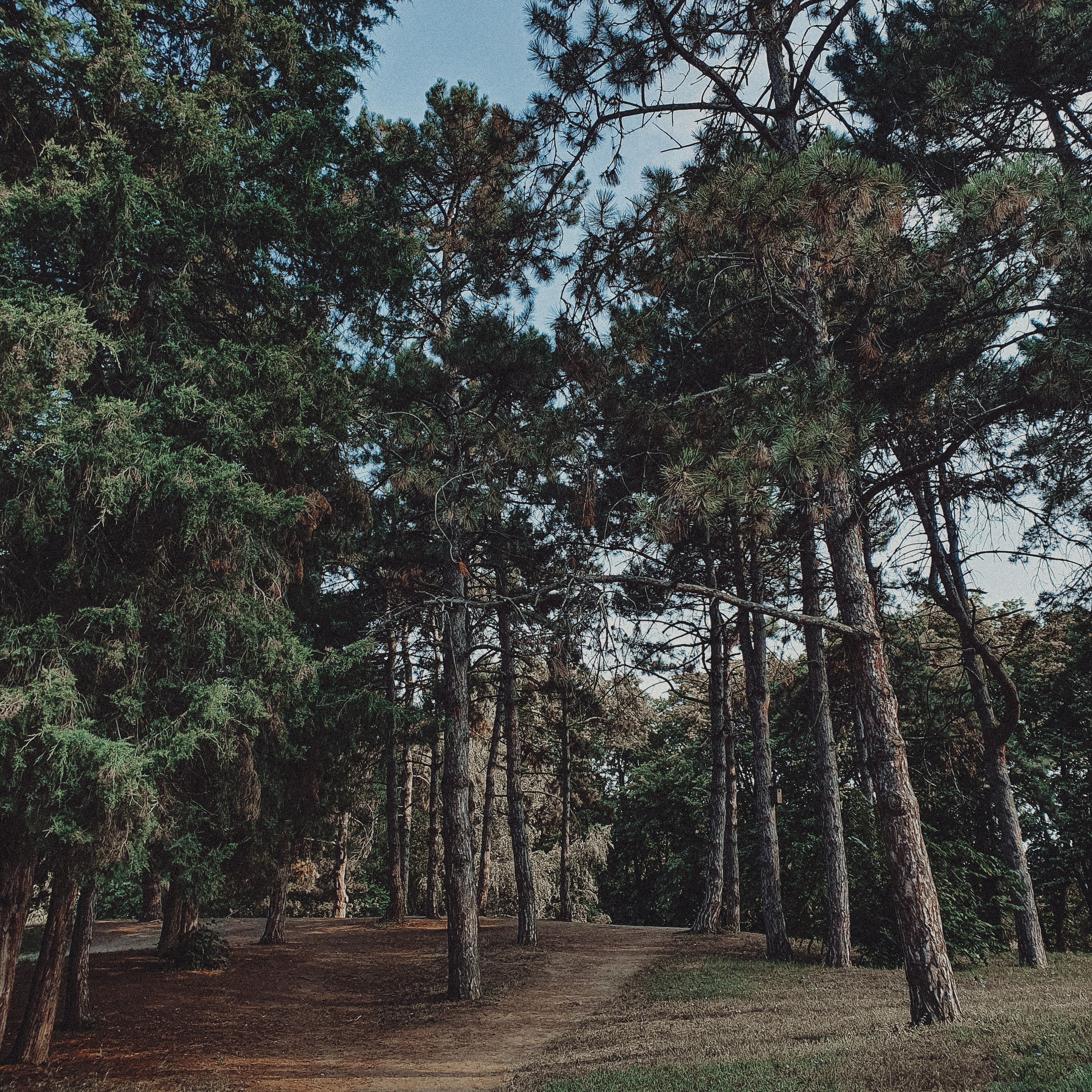 ОТЗЫВЫ. Свадебный и семейный фотограф/видеограф в Краснодаре Наталья Осинская