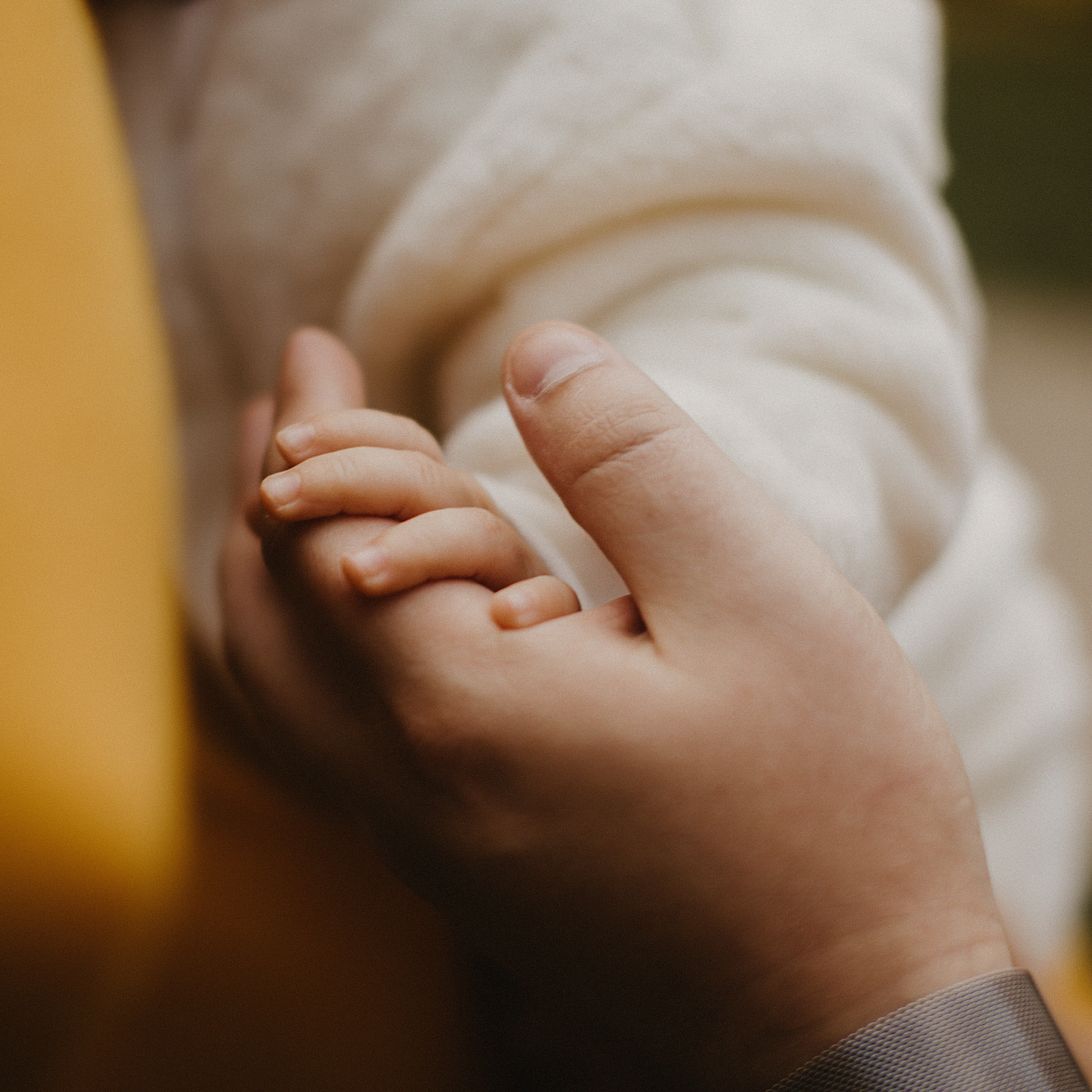 Осень в Рождественском парке