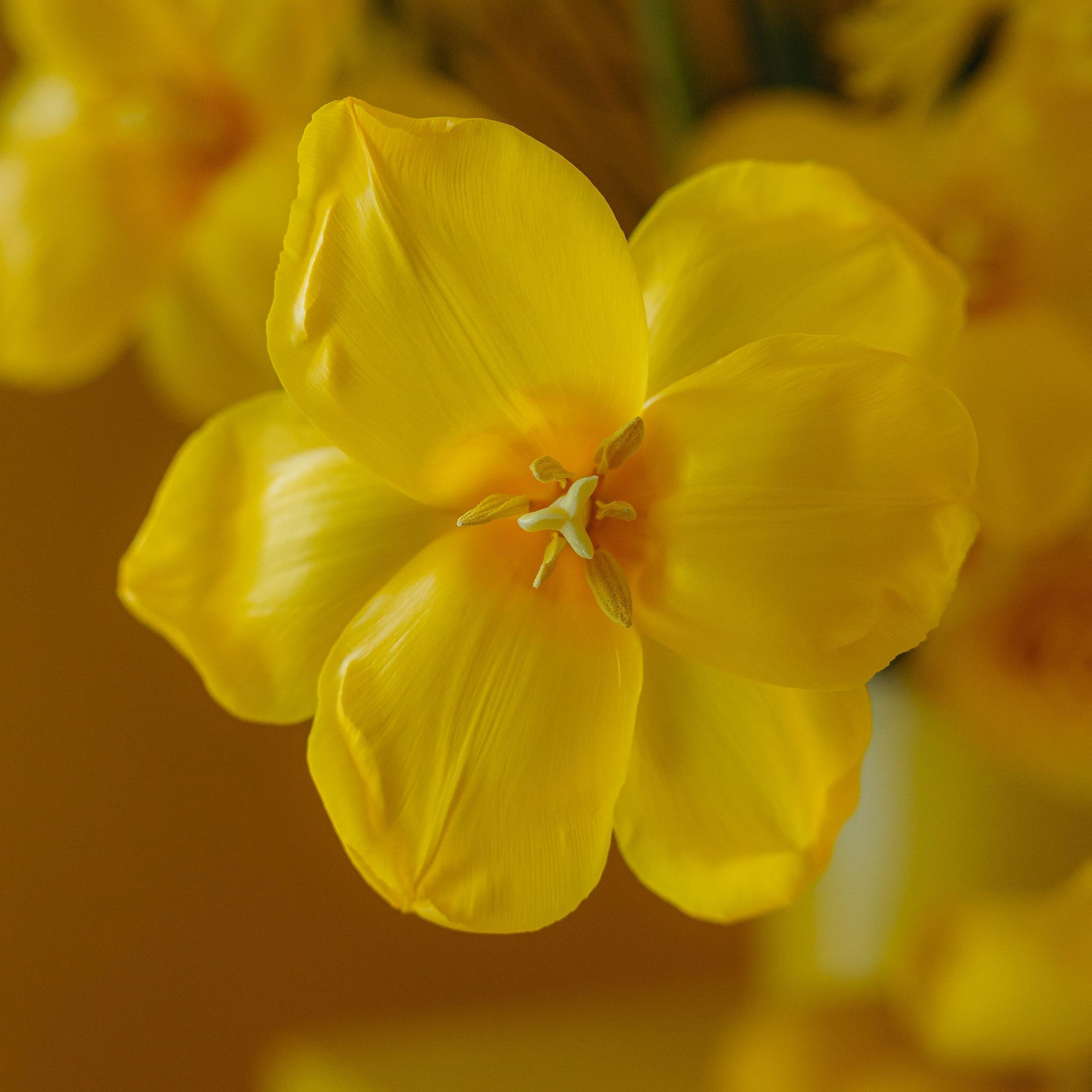 Отзывы. Фотограф Serj Ganso