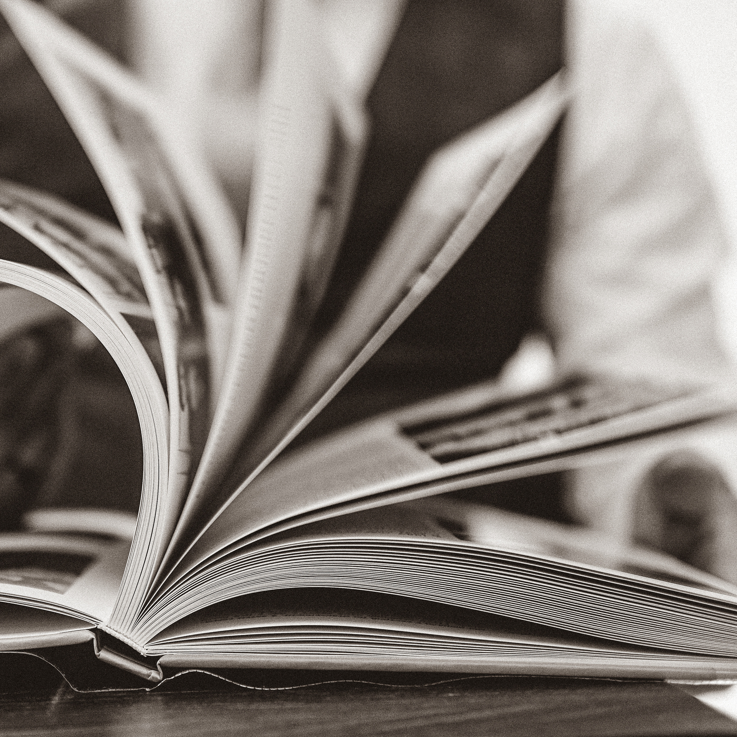 Отзывы. Фотограф в Москве Юлия Першина