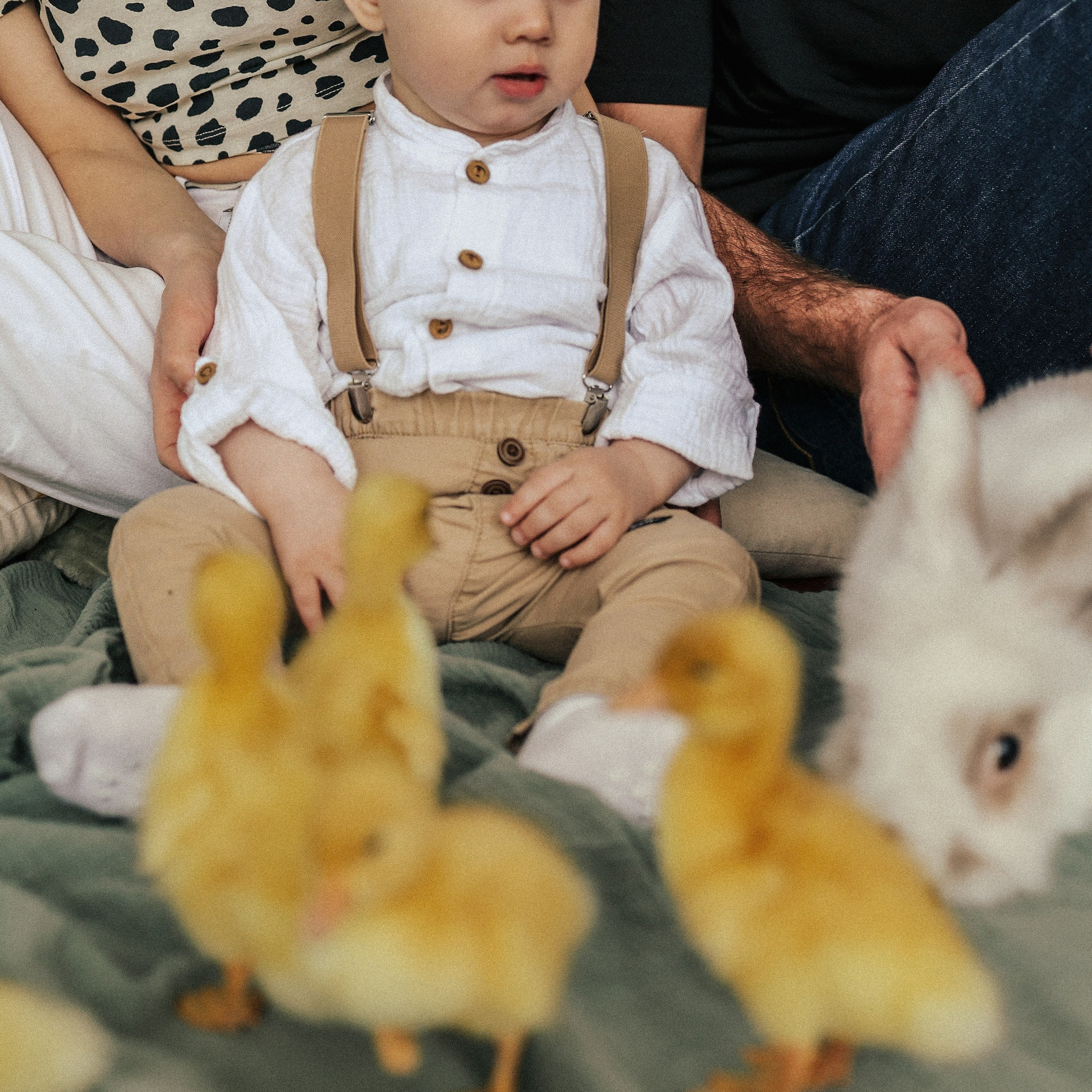 Отзывы. Семейный фотограф Колосова Полина