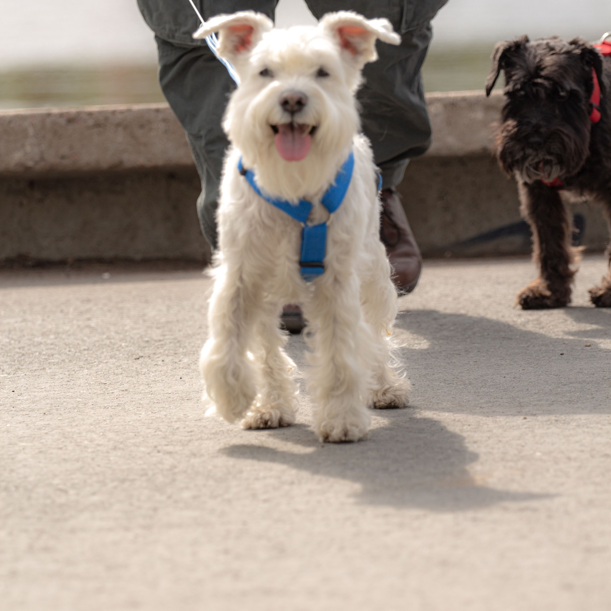 Отзывы. Фотограф Екатерина Козловская