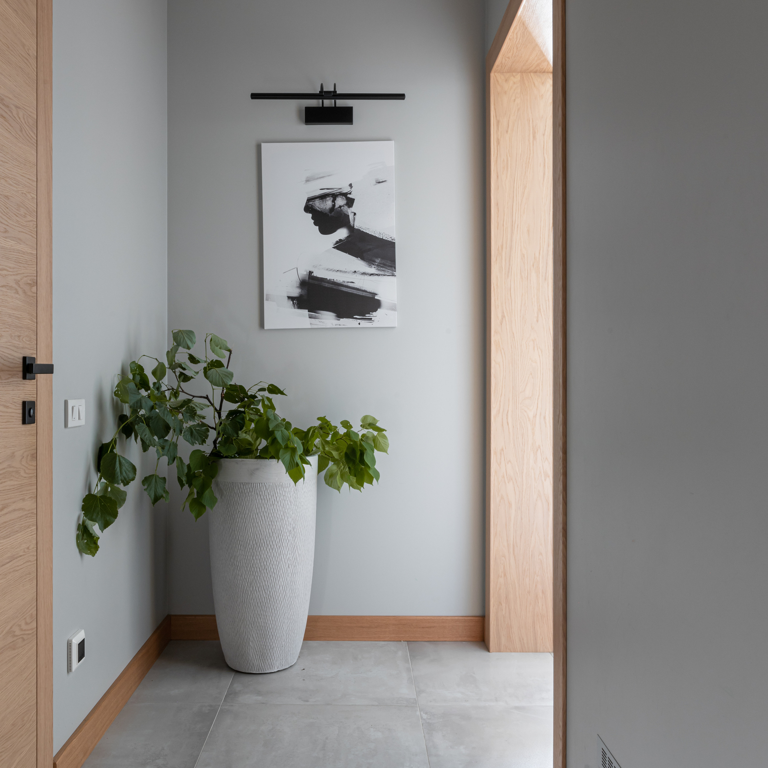 Skandy ЖК Silver 55.0