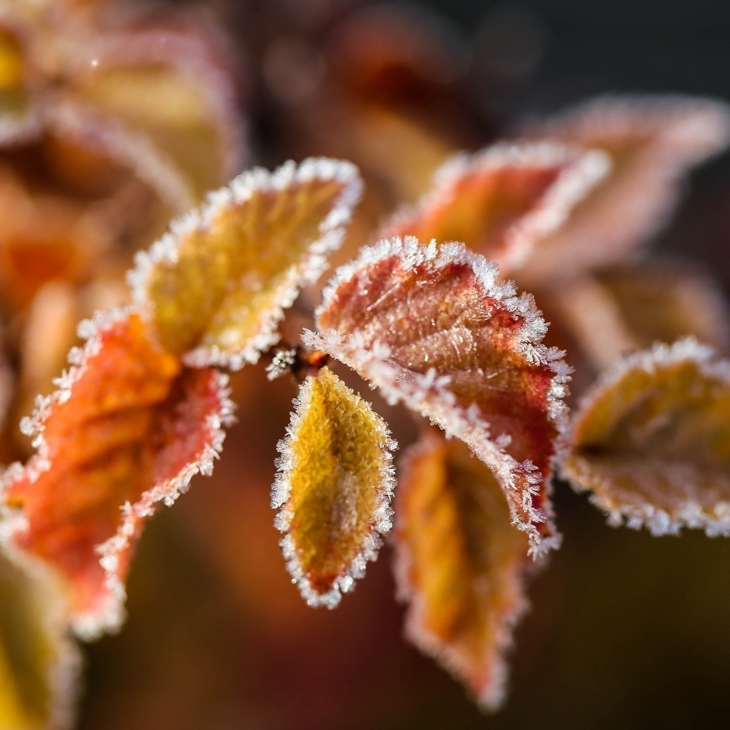 Отзывы. Фотограф в Сургуте Екатерина Морозова