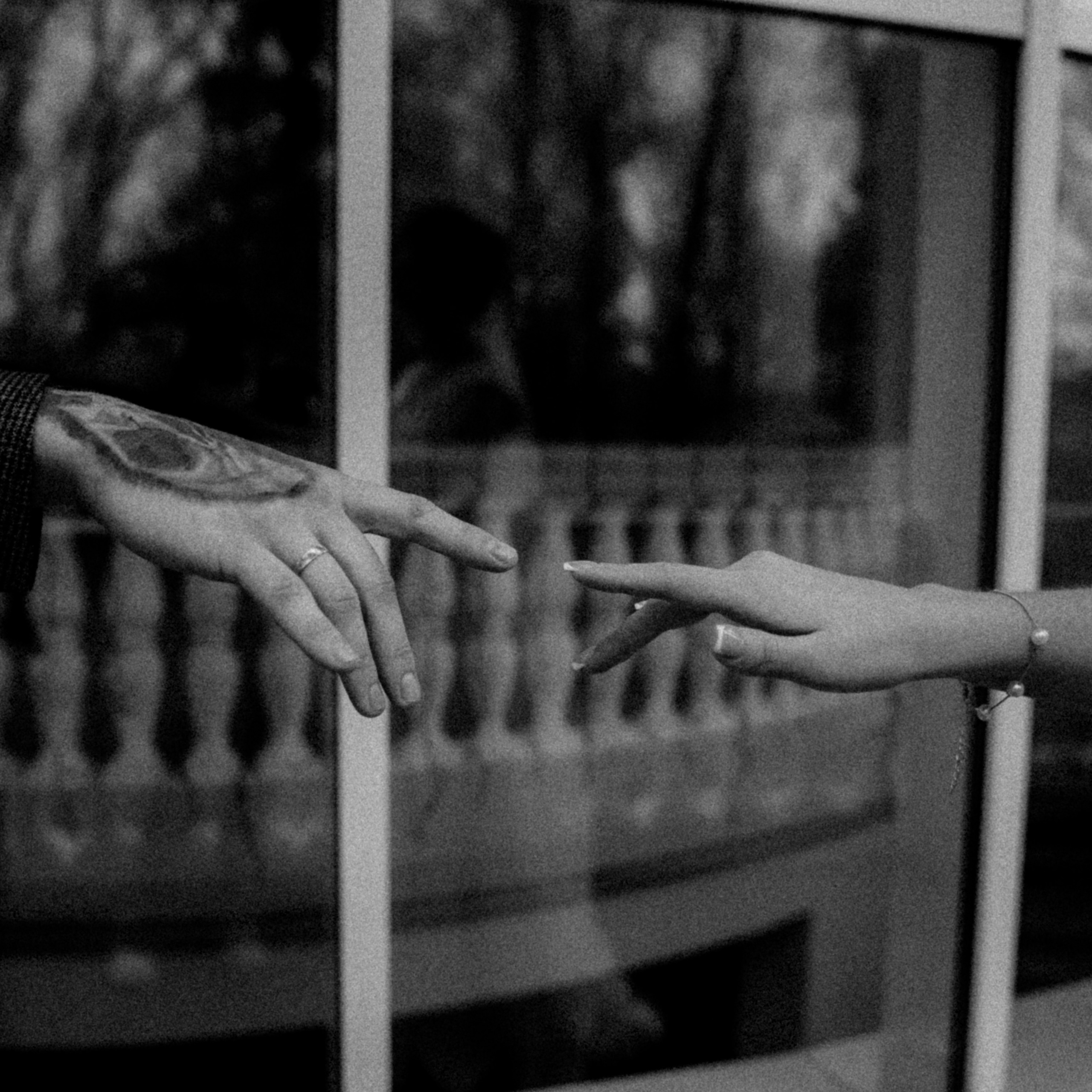 Отзывы. Семейный и свадебный фотограф в Новокузнецке