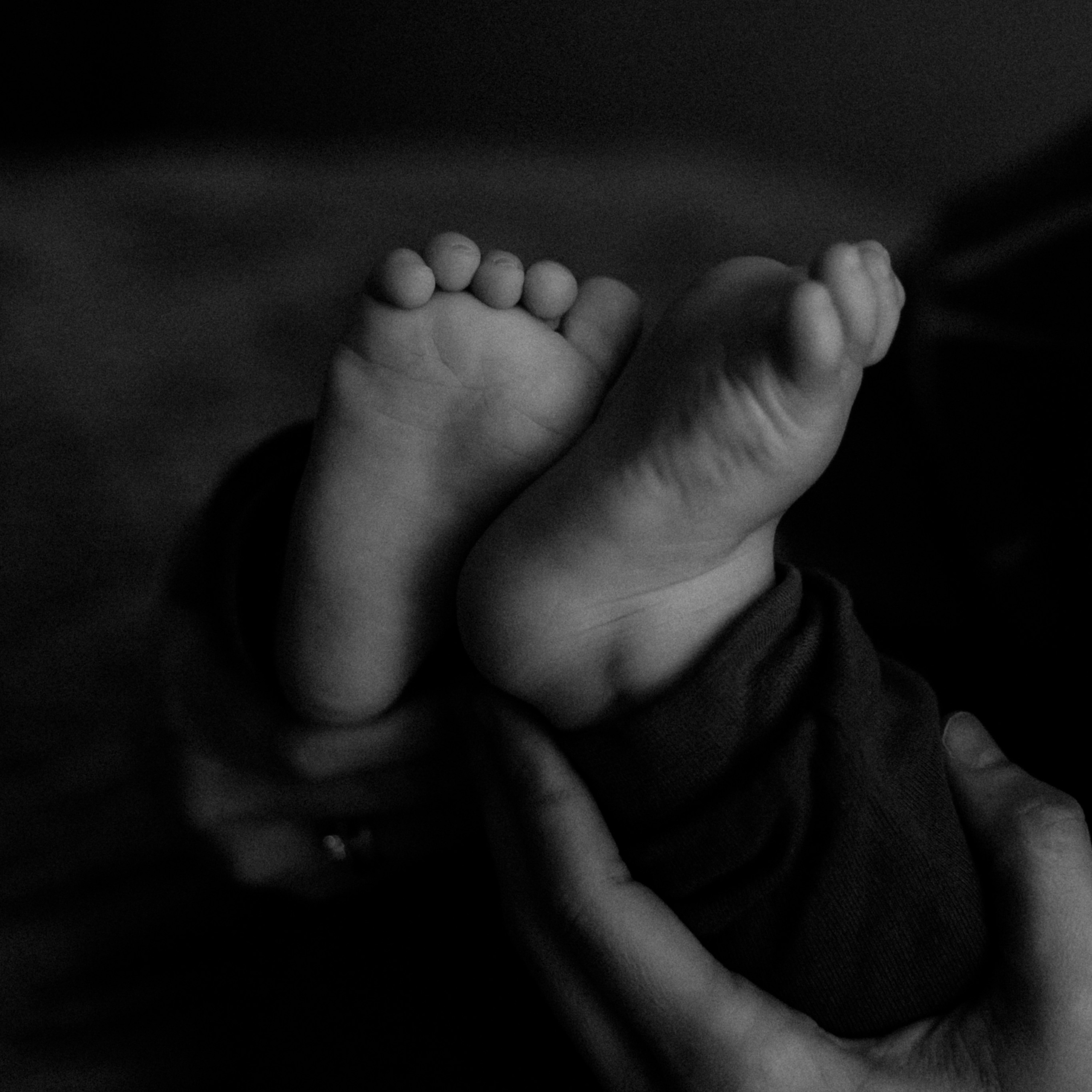 Отзывы. Семейный и свадебный фотограф в Новокузнецке