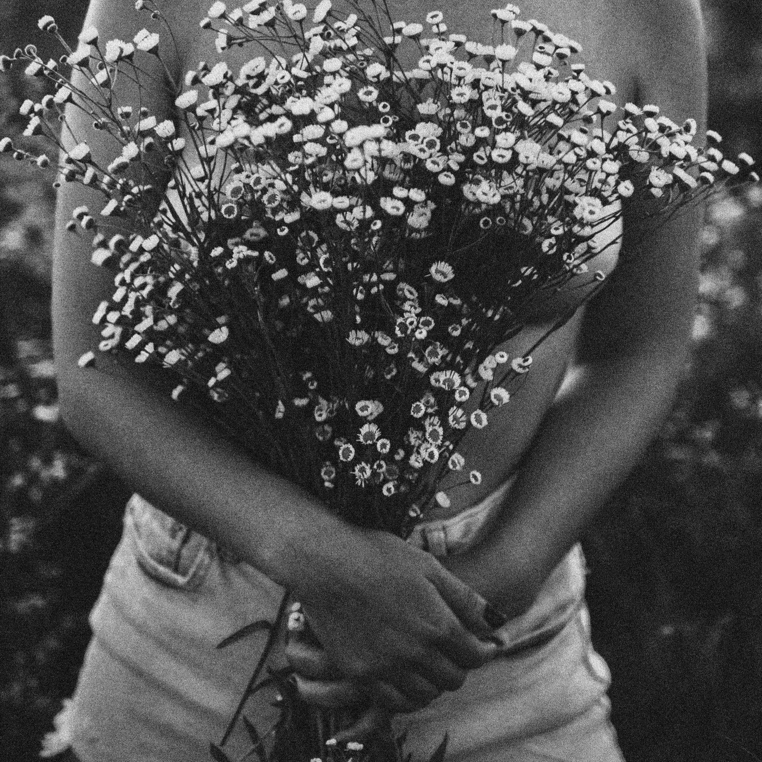 Свидание с ромашками