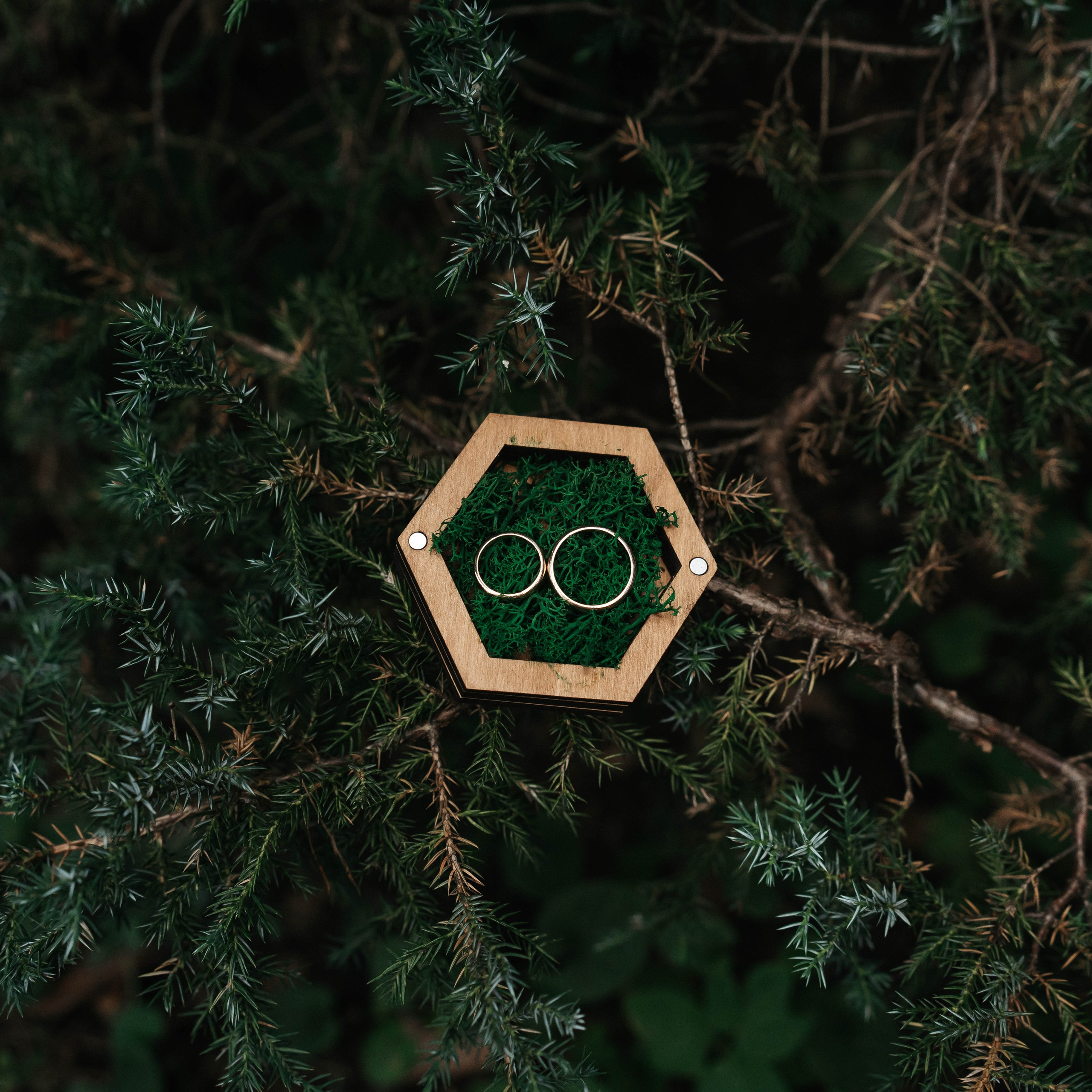 Свадебная фотосессия