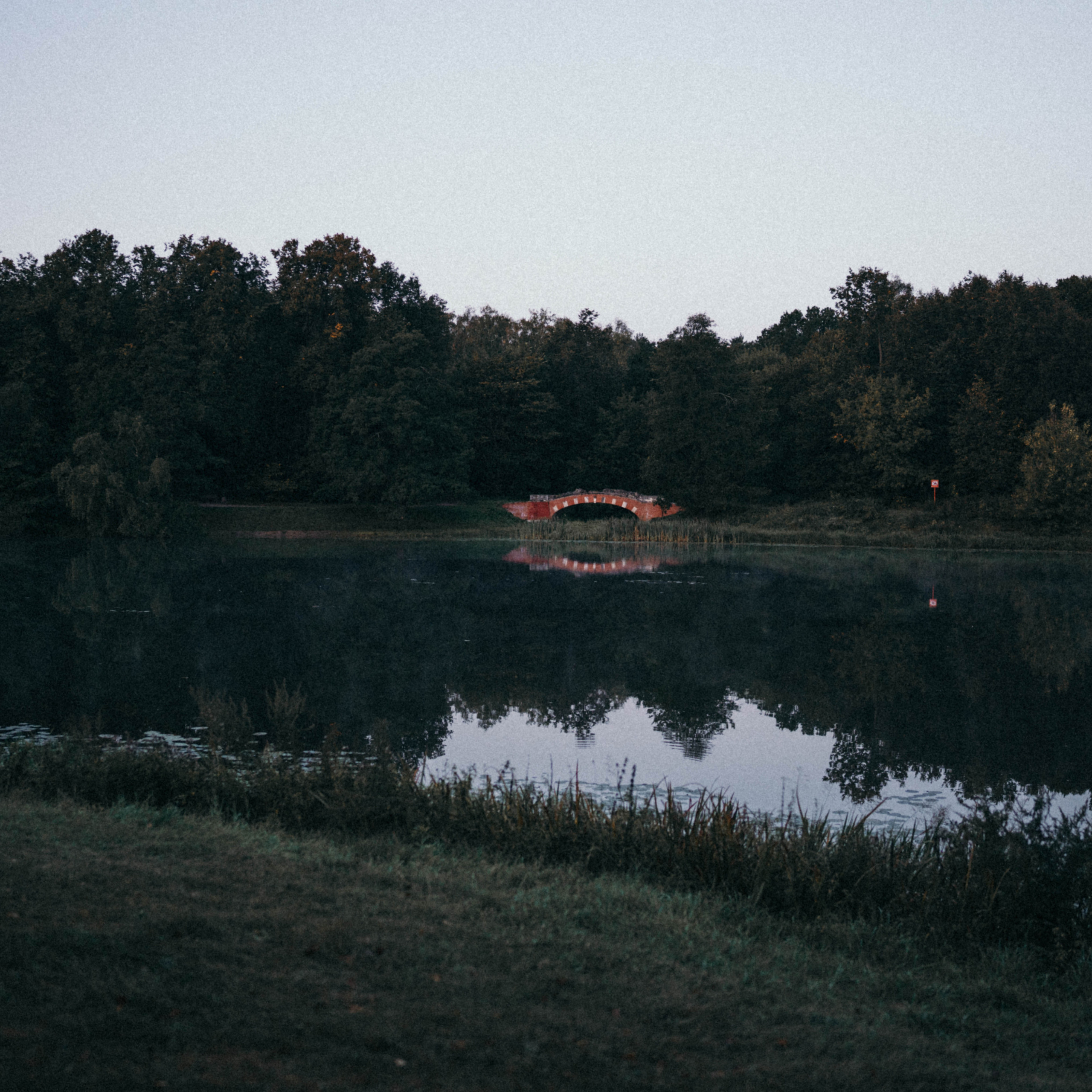 Отзывы. Фотограф Москва Татьяна Гайдаржи