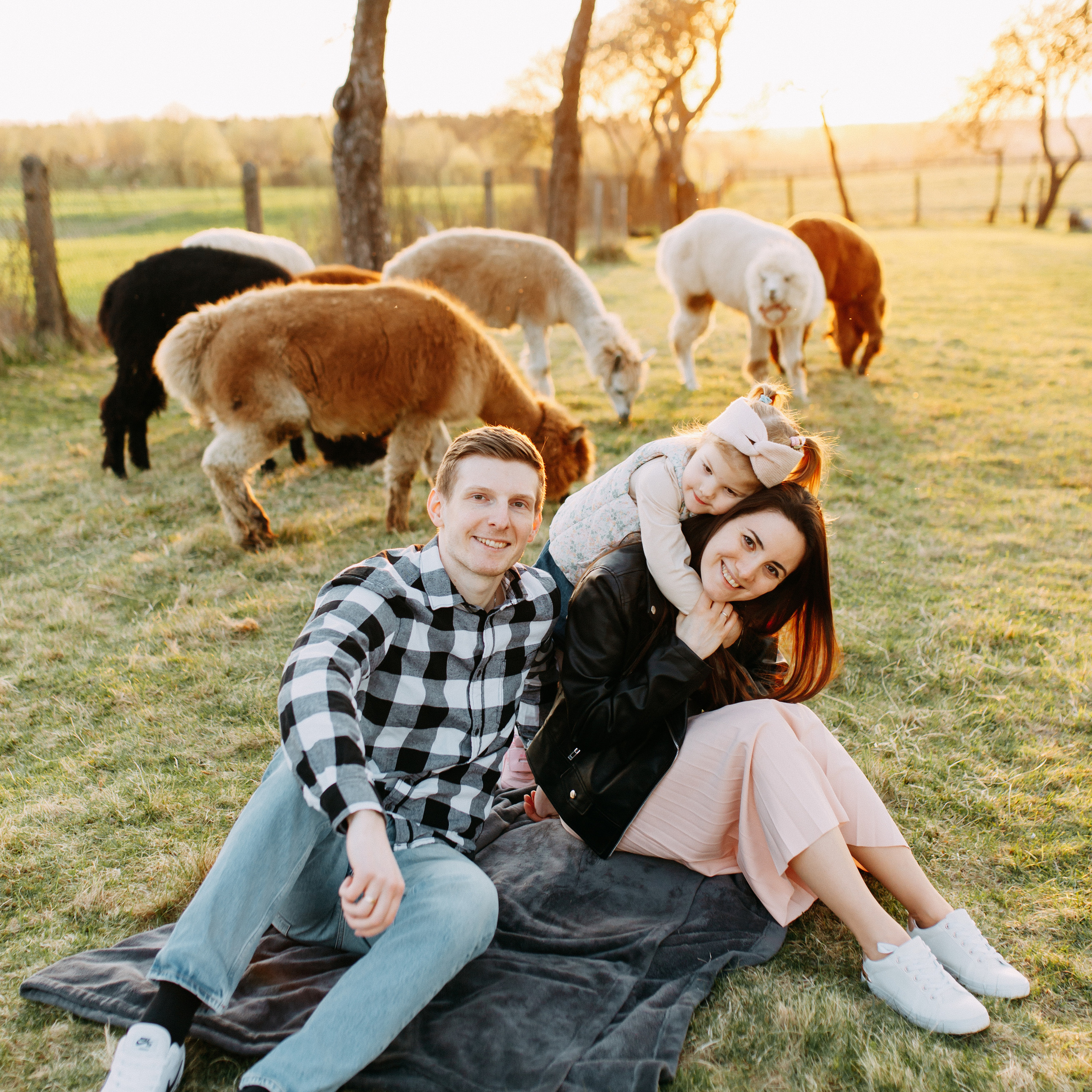 На ферме с альпаками • Весна 2023