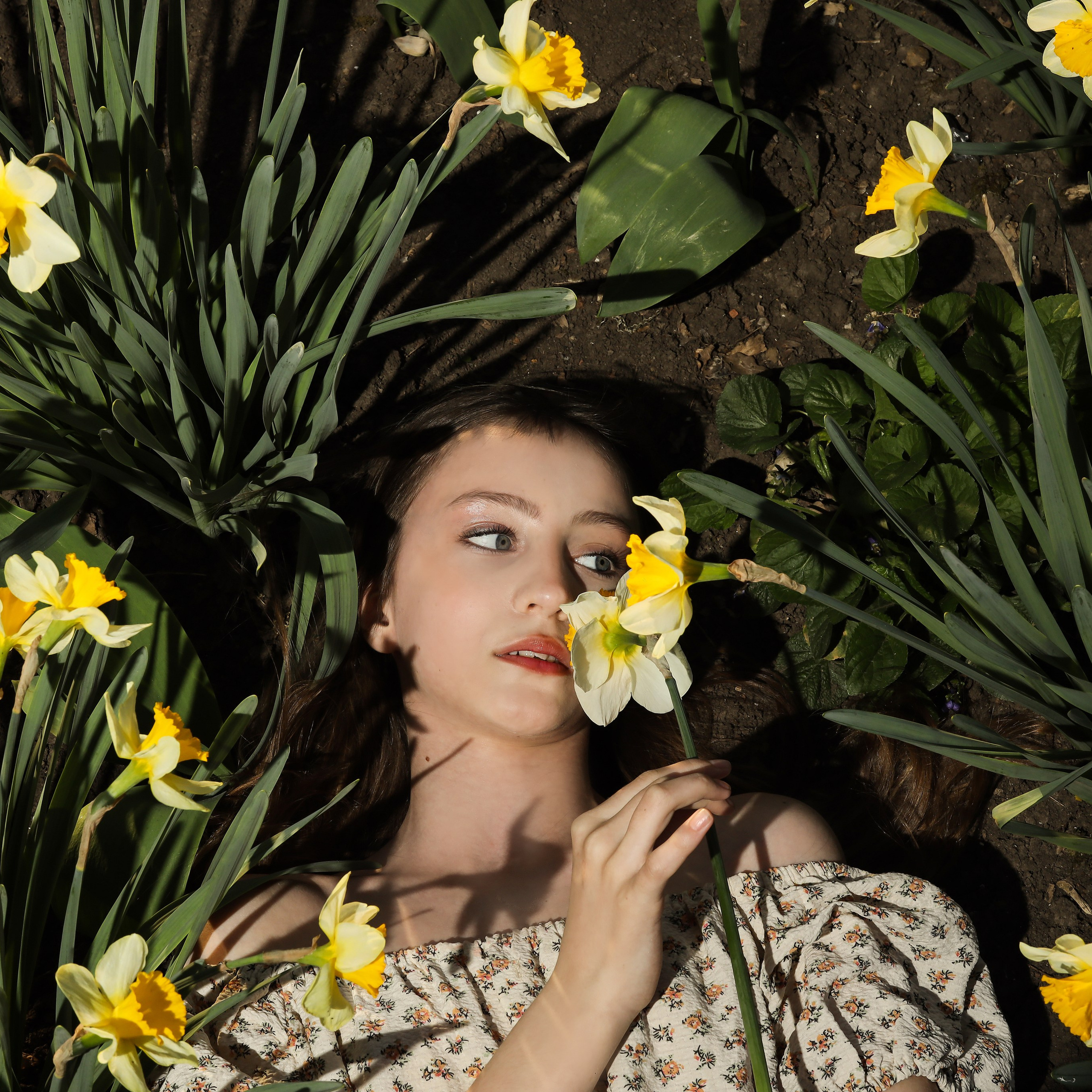 поляна цветов