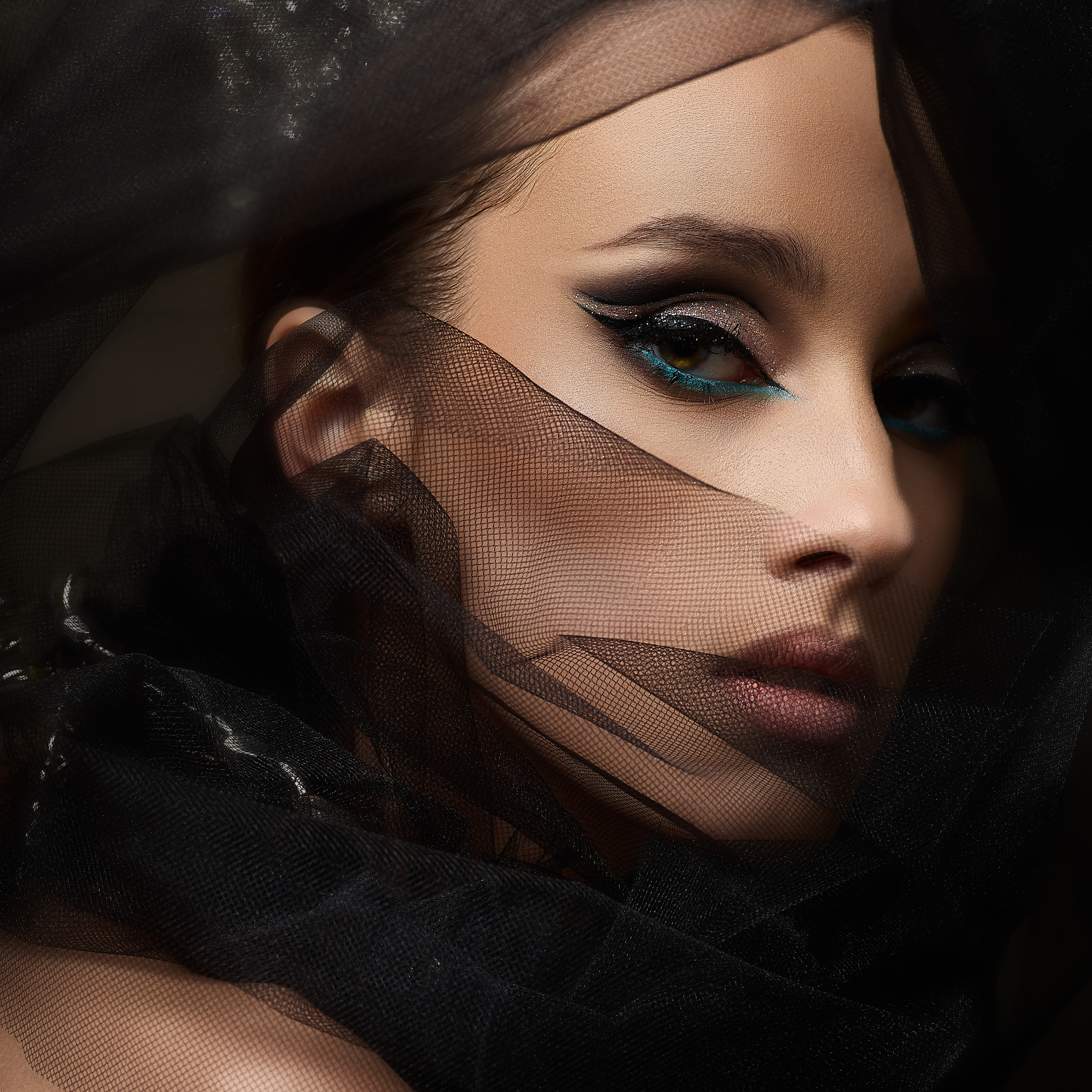 ANASTEISHA COLOR EDITION