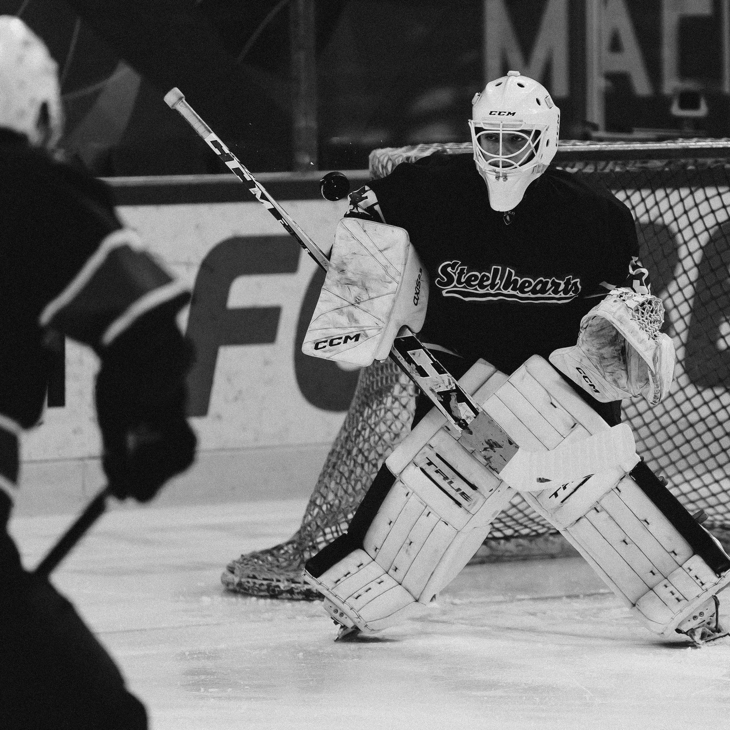 «Стальные сердца» — «СФУ» // 07-08.02.25