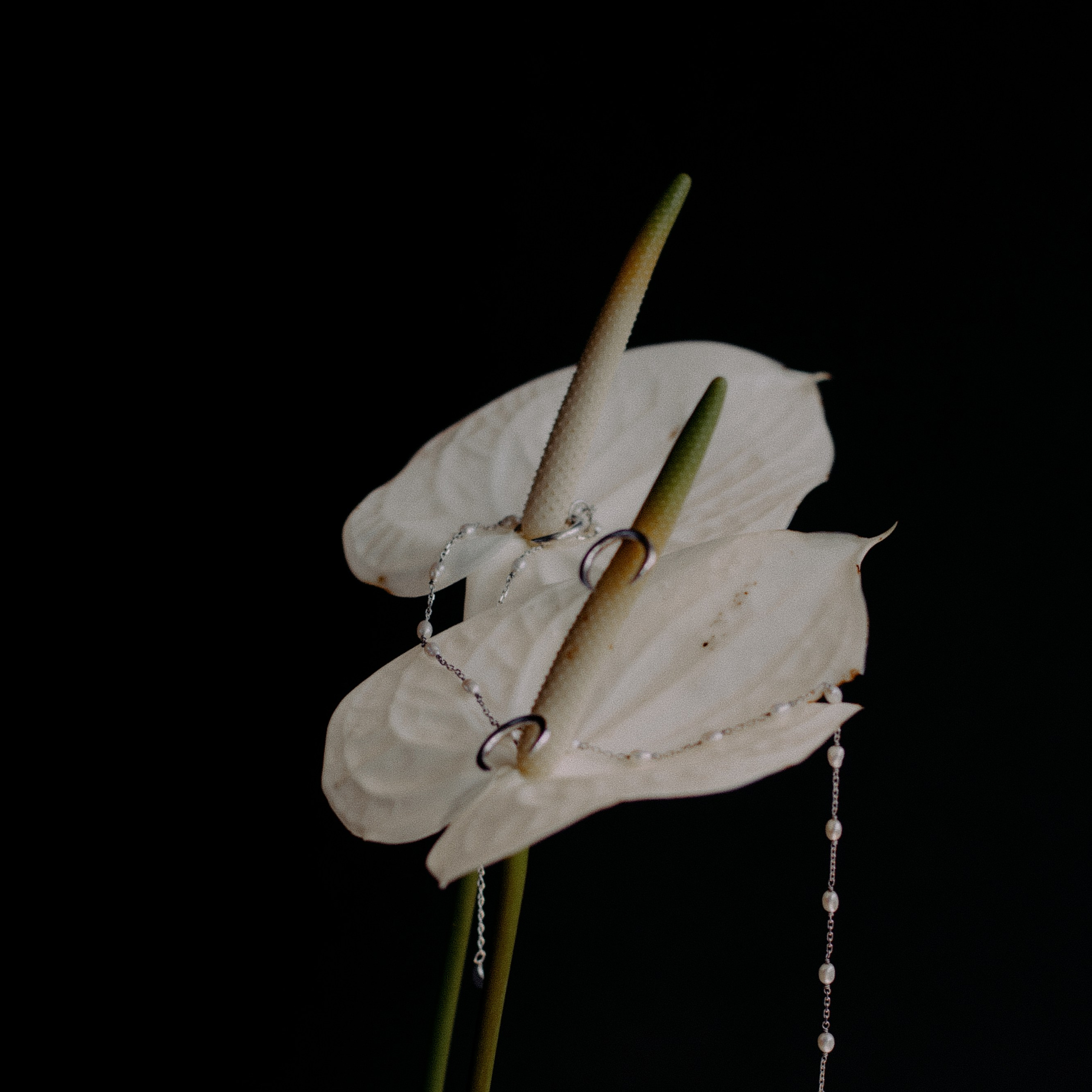 Украшения Bali Pearl. Фотосессии на маркетплейсы