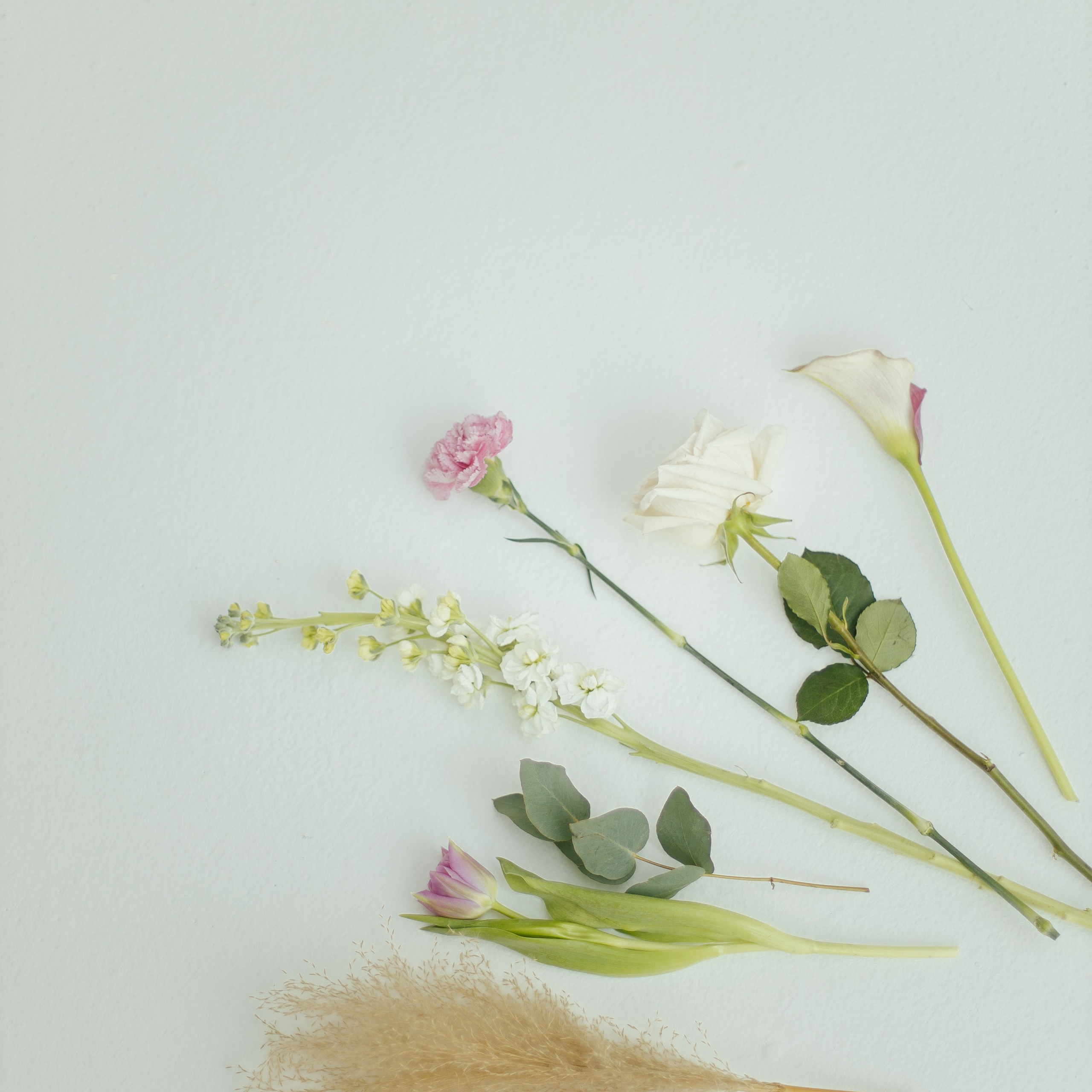 Цветочный салон Лето Мск. Фотосессии на маркетплейсы