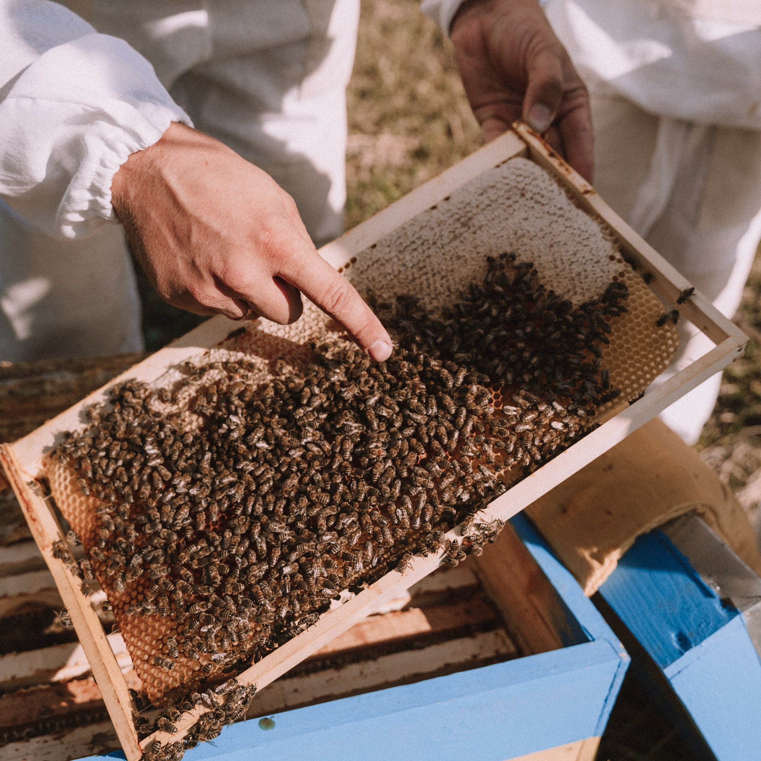 Мед. Фотосессии на маркетплейсы