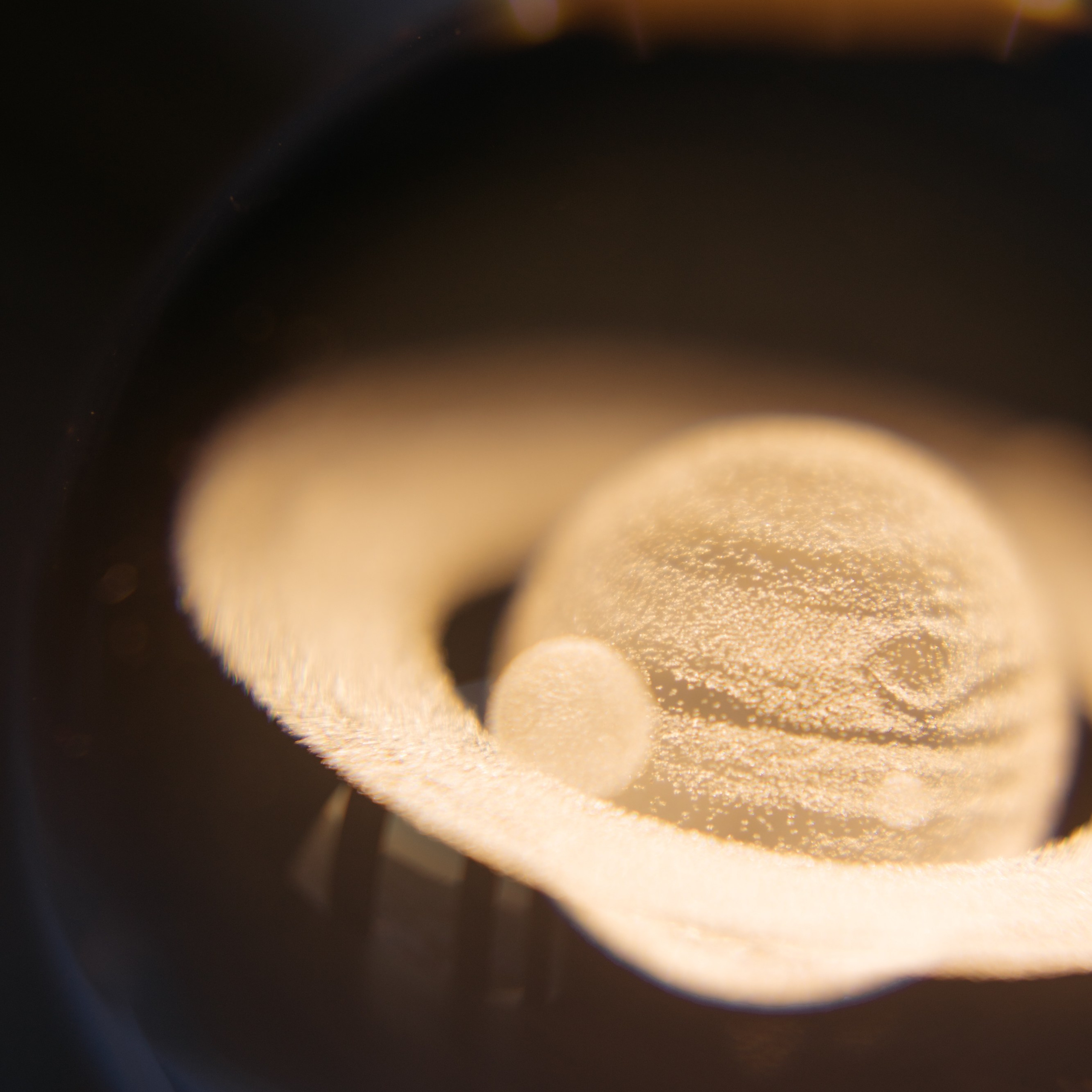 Ночник. Фотосессии на маркетплейсы