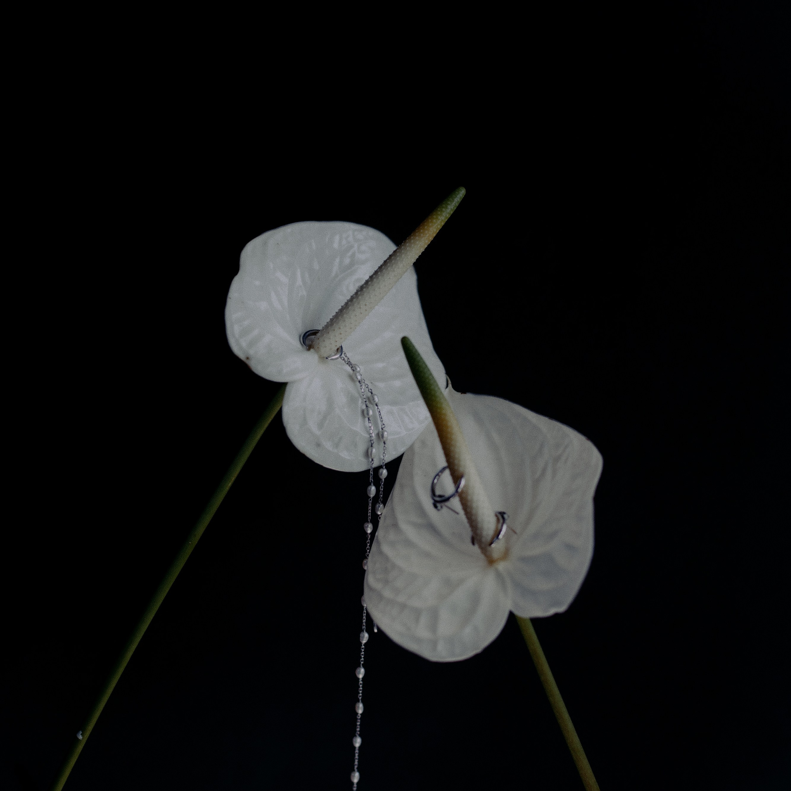 Украшения Bali Pearl. Фотосессии на маркетплейсы